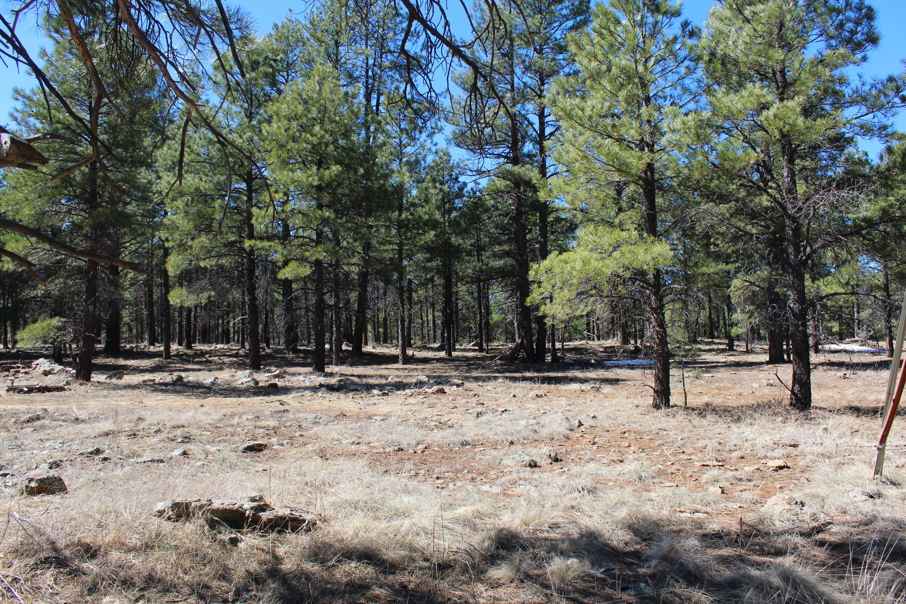 Out Of Pima County - Land