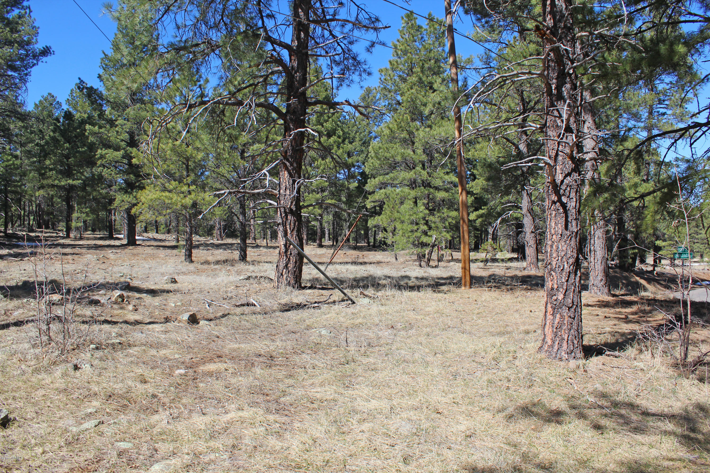 Out Of Pima County - Land
