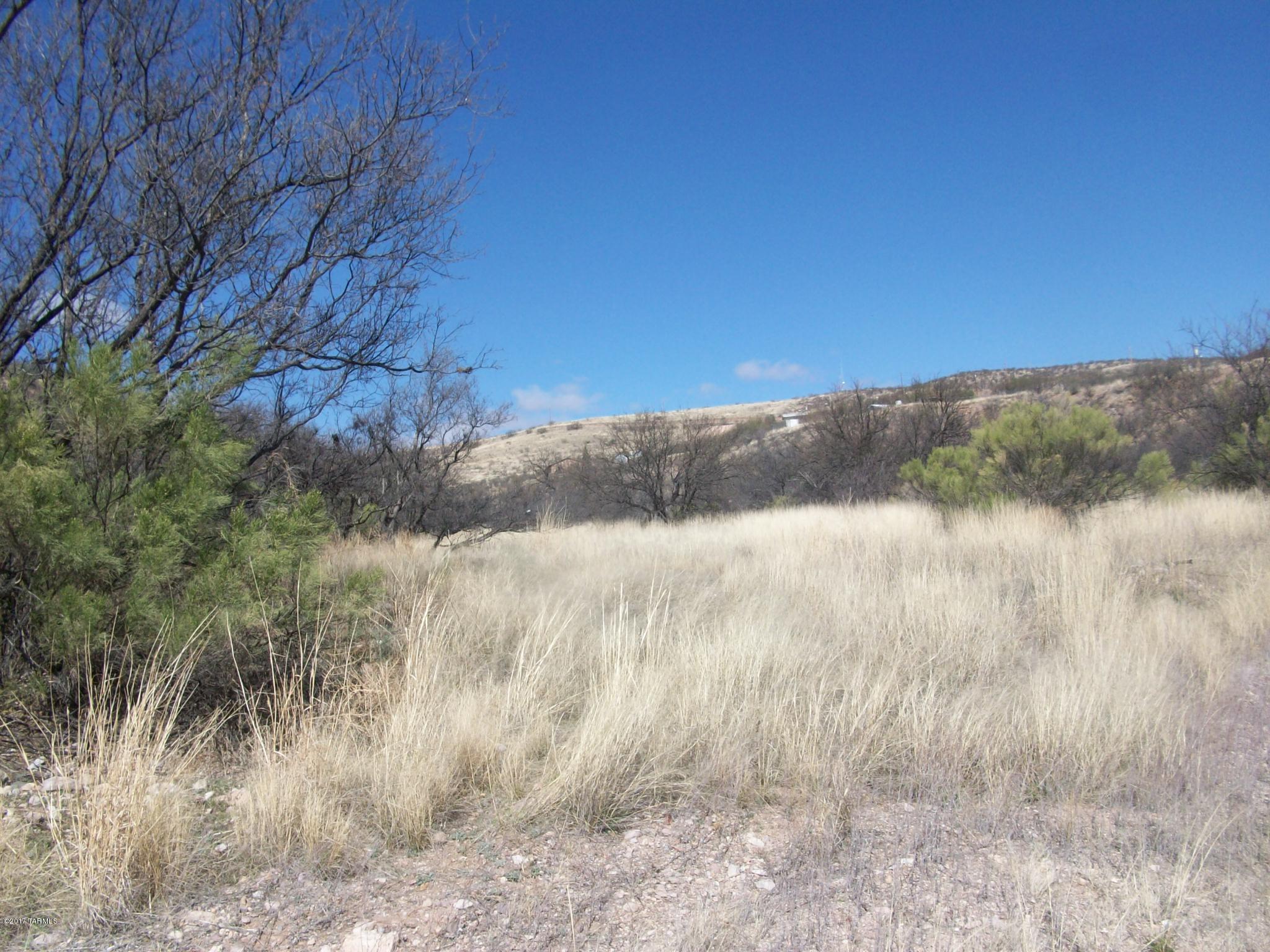 Rio Rico Ranchettes 10 - Land