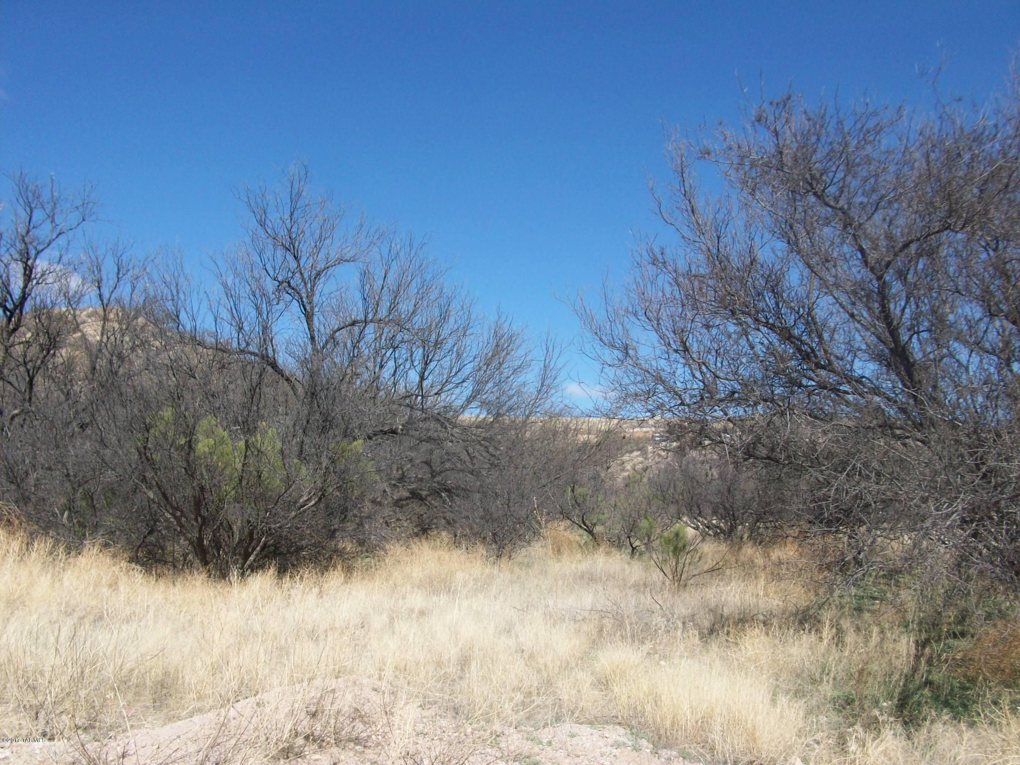 Rio Rico Ranchettes 10 - Land