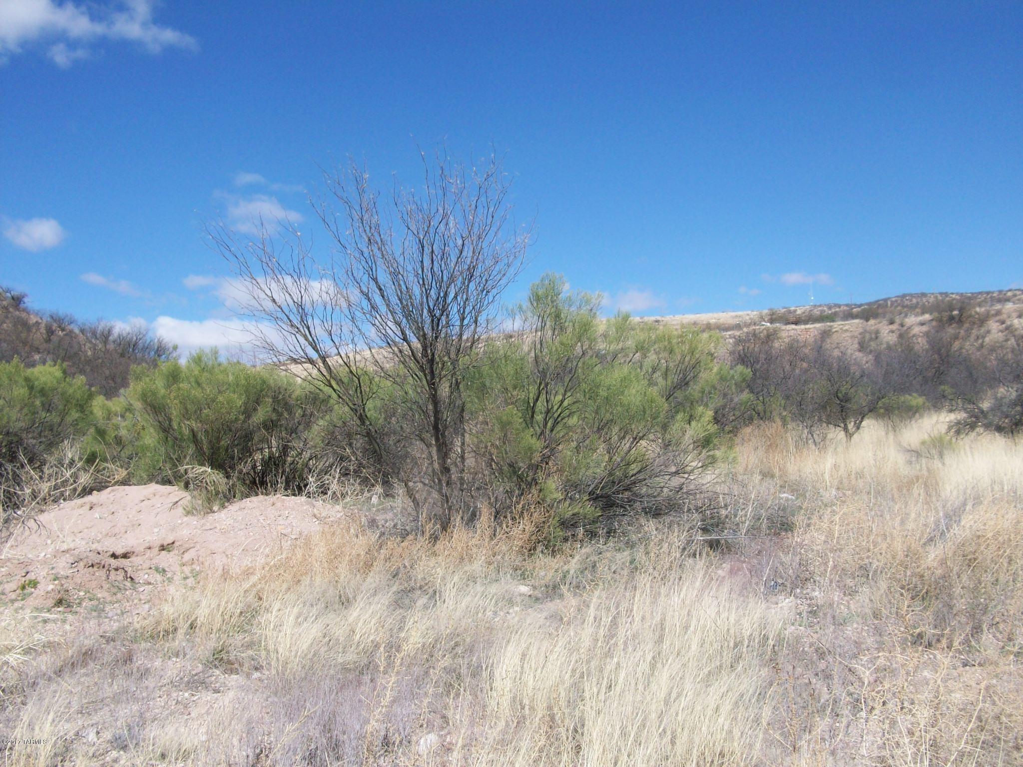 Rio Rico Ranchettes 10 - Land