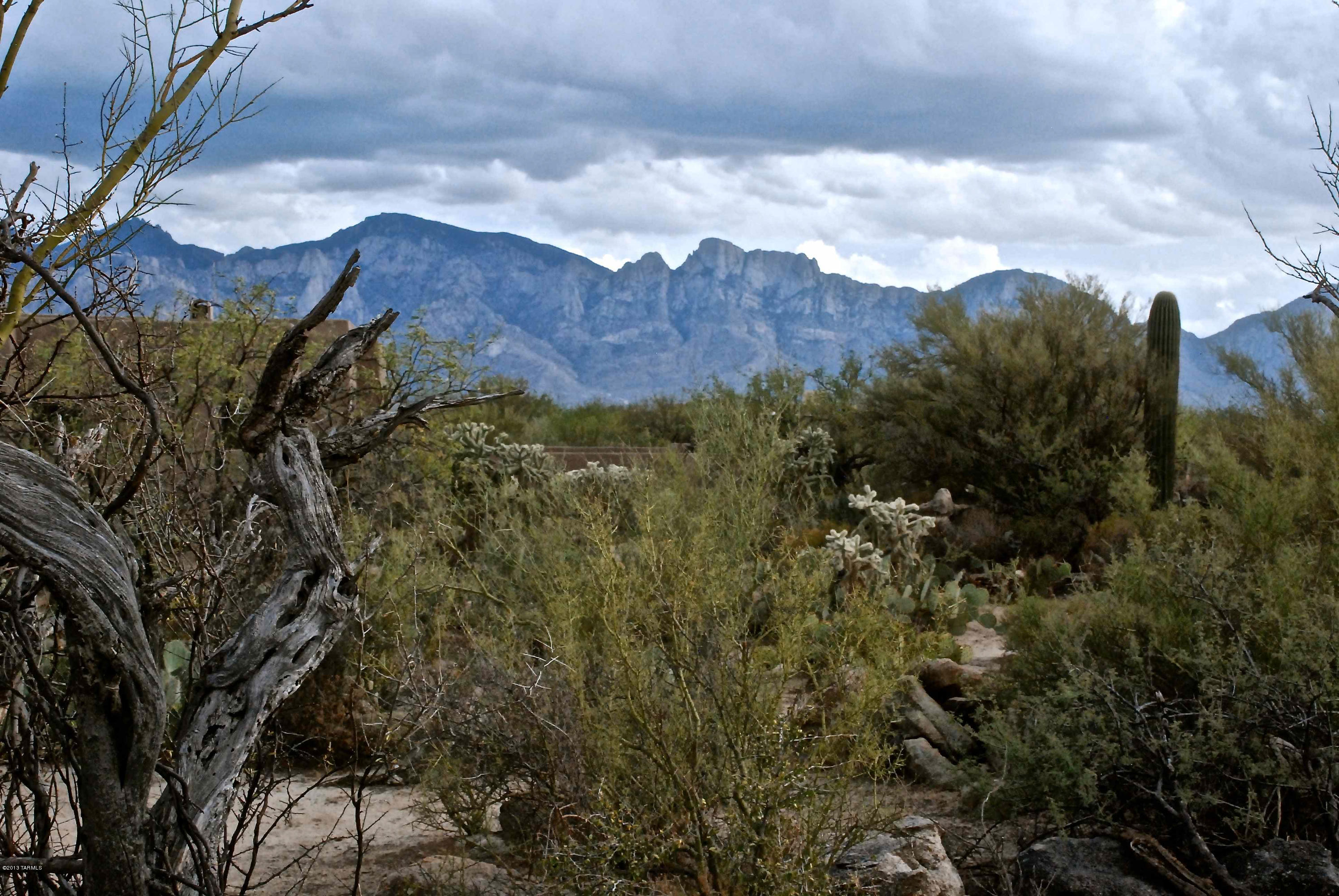 Honey Bee Ridge(The Estates At) - Land