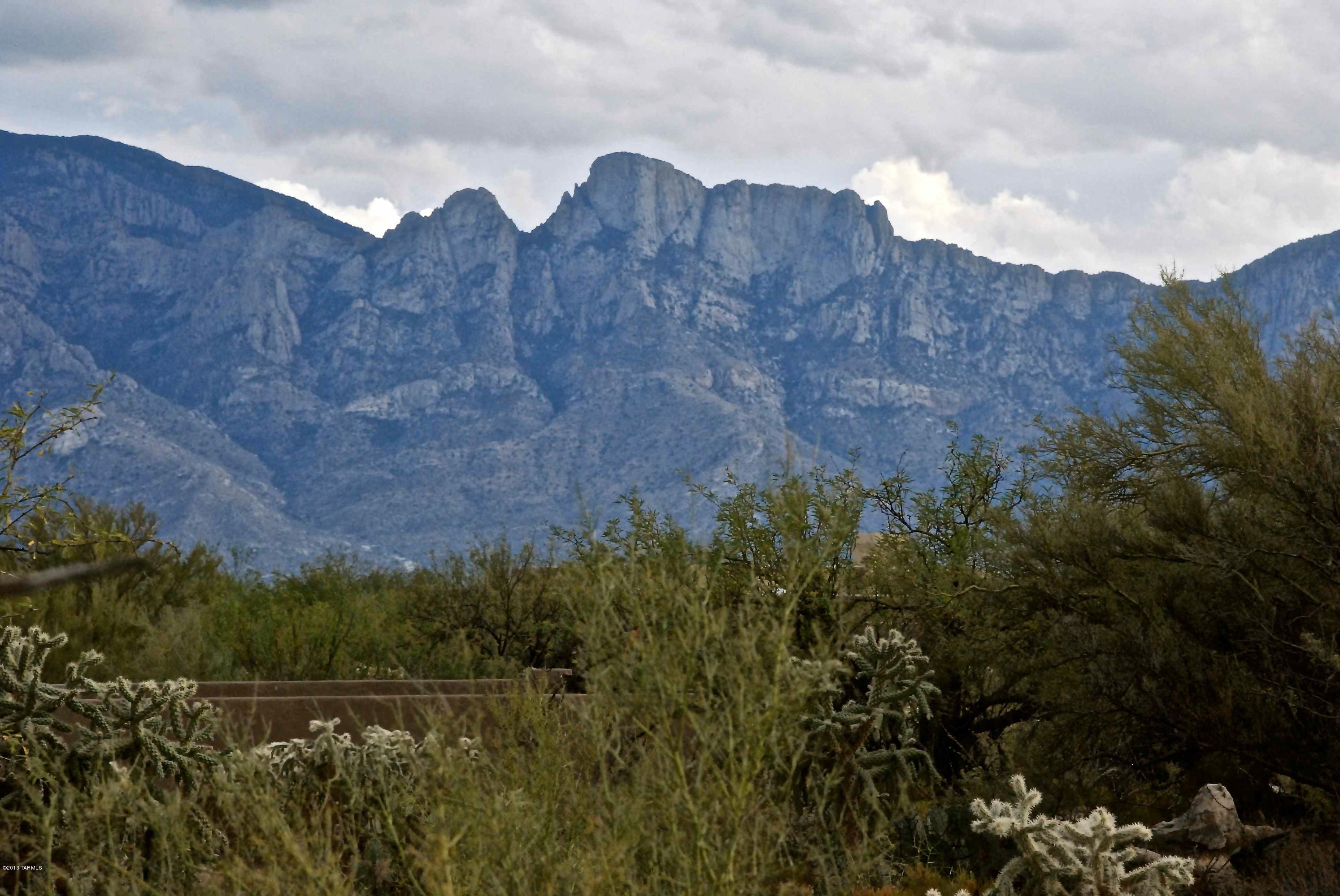 SITUATED ON THE CANYON'S EDGE AT HONEYBEE RIDGE, EXPERIENCE THE OPEN SURROUNDINGS, EXTRAORDINARY ROCK OUTCROPPINGS, HIKING OPPORTUNITIES, HISTORIC LANDMARKS, SUCH AS THE REMNANTS OF THE GEORGE PUSCH STONE HOUSE, PETROGLYPHS AND BREATHTAKING VIEWS. THIS CUSTOM HOMESITE OFFERS EASY TO BUILD TOPOGRAPHY ON 1+ ACRES BACKING UP TO NATURAL OPEN SPACE. ORIENTATION ALLOWS ONE TO TAKE ADVANTAGE OF THE DRAMATIC SOUTHEASTERLY CATALINA MTN VIEWS, AS WELL AS HONEYBEE CANYON'S NATURAL OPEN SPACE TO THE NW. TOPO AND PLAT AVAILABLE.