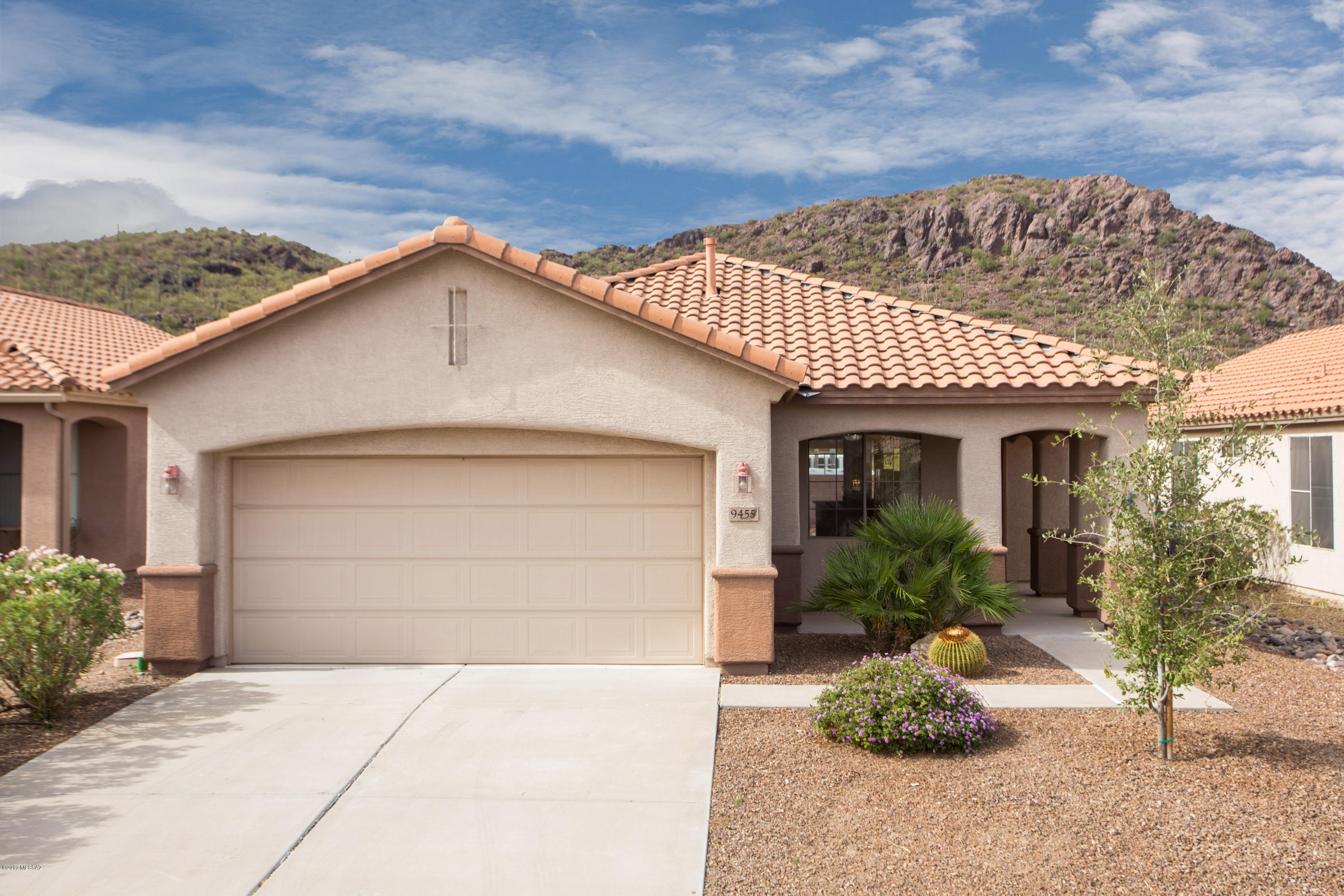 Continental Ranch Sunflower - Residential