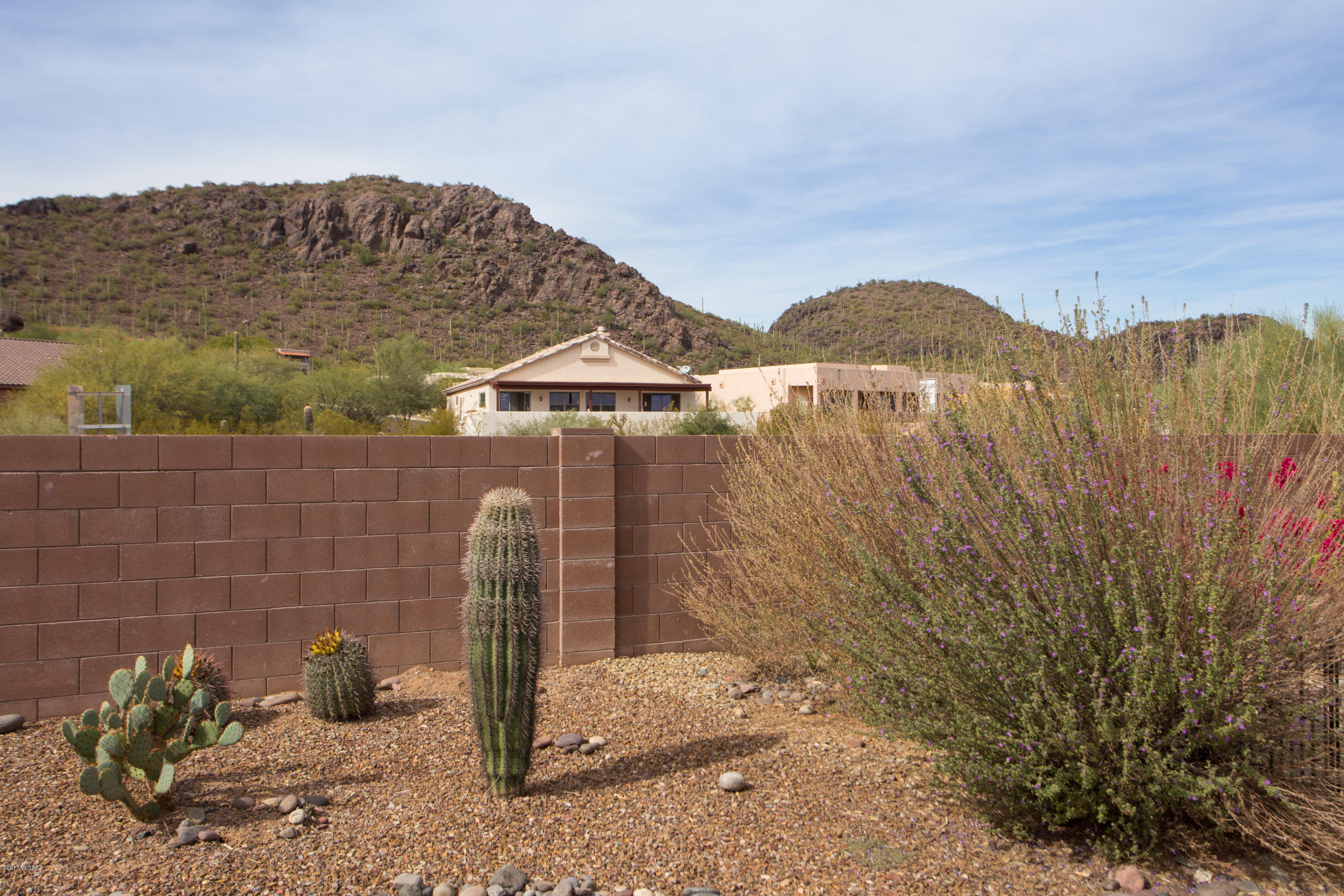 Continental Ranch Sunflower - Residential