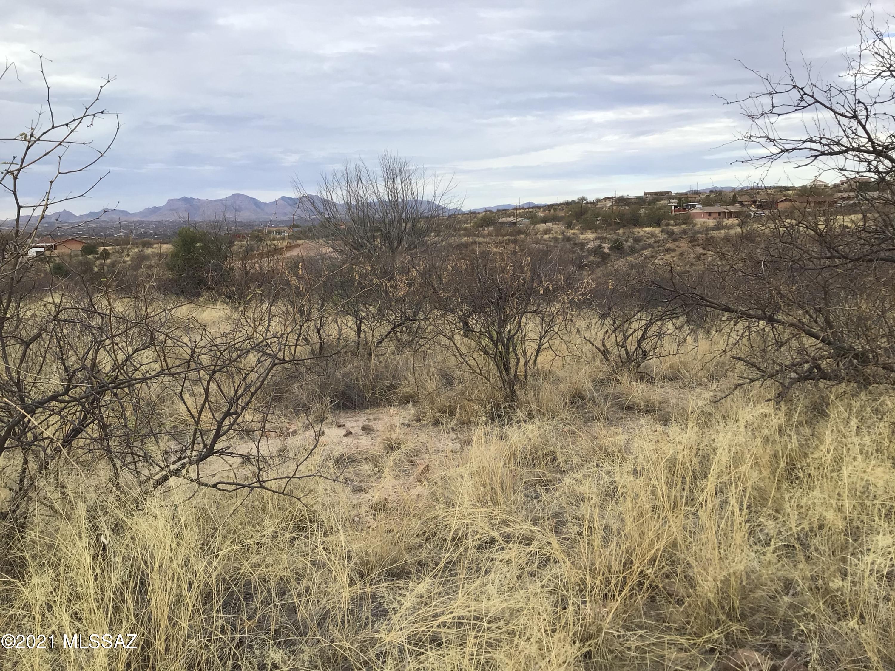 Lot 215 in Block 555 of Rio Rico Ranchettes Unit #12