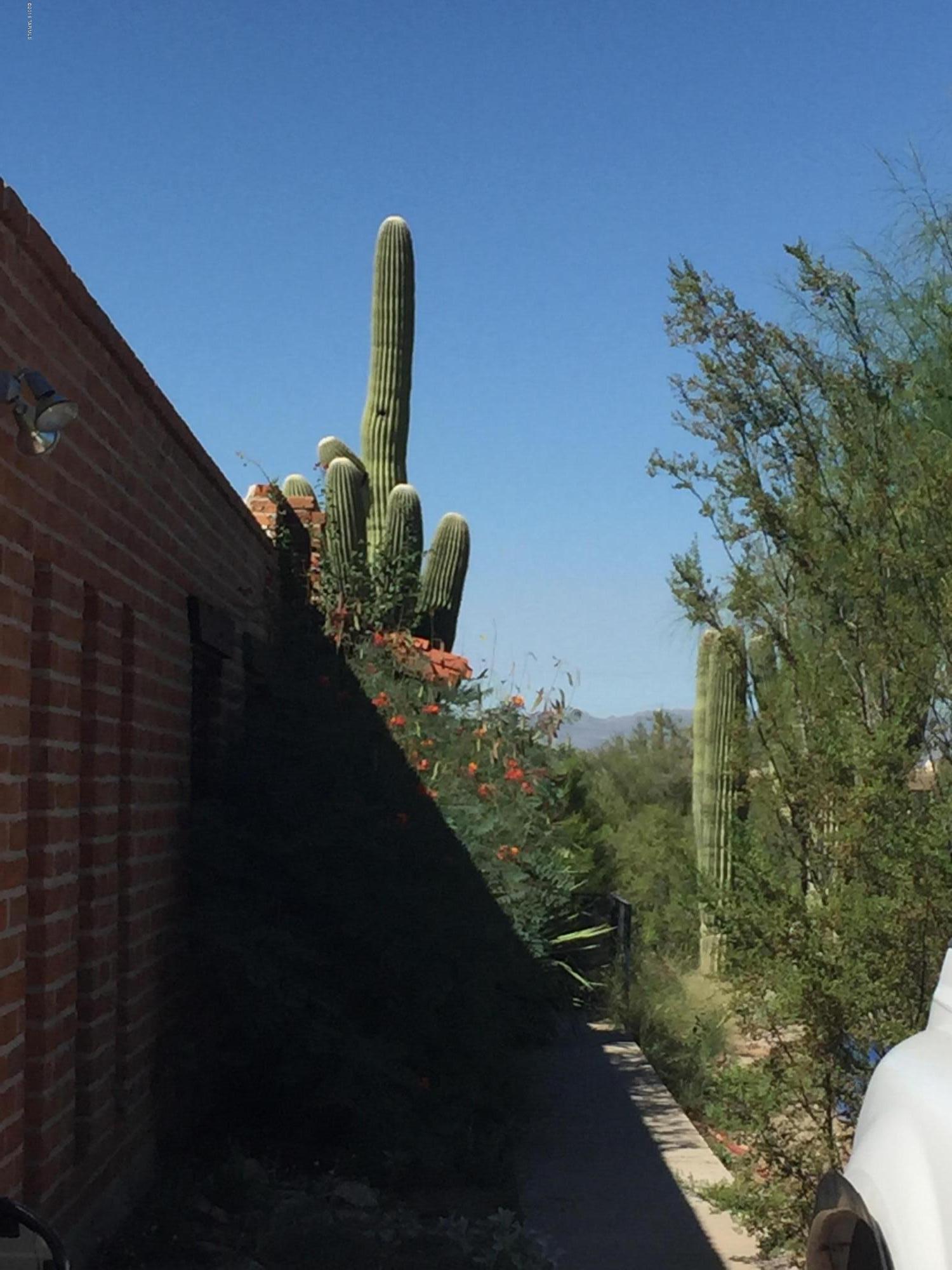 Rancho Del Cerro (1-179) - Residential