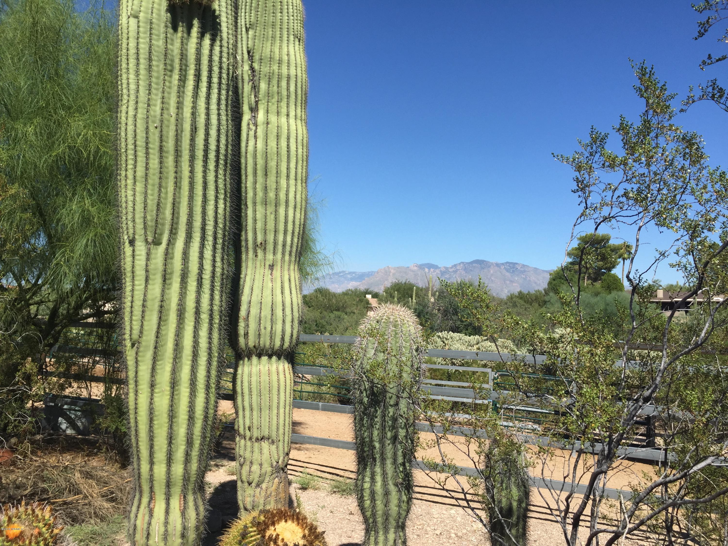 Rancho Del Cerro (1-179) - Residential