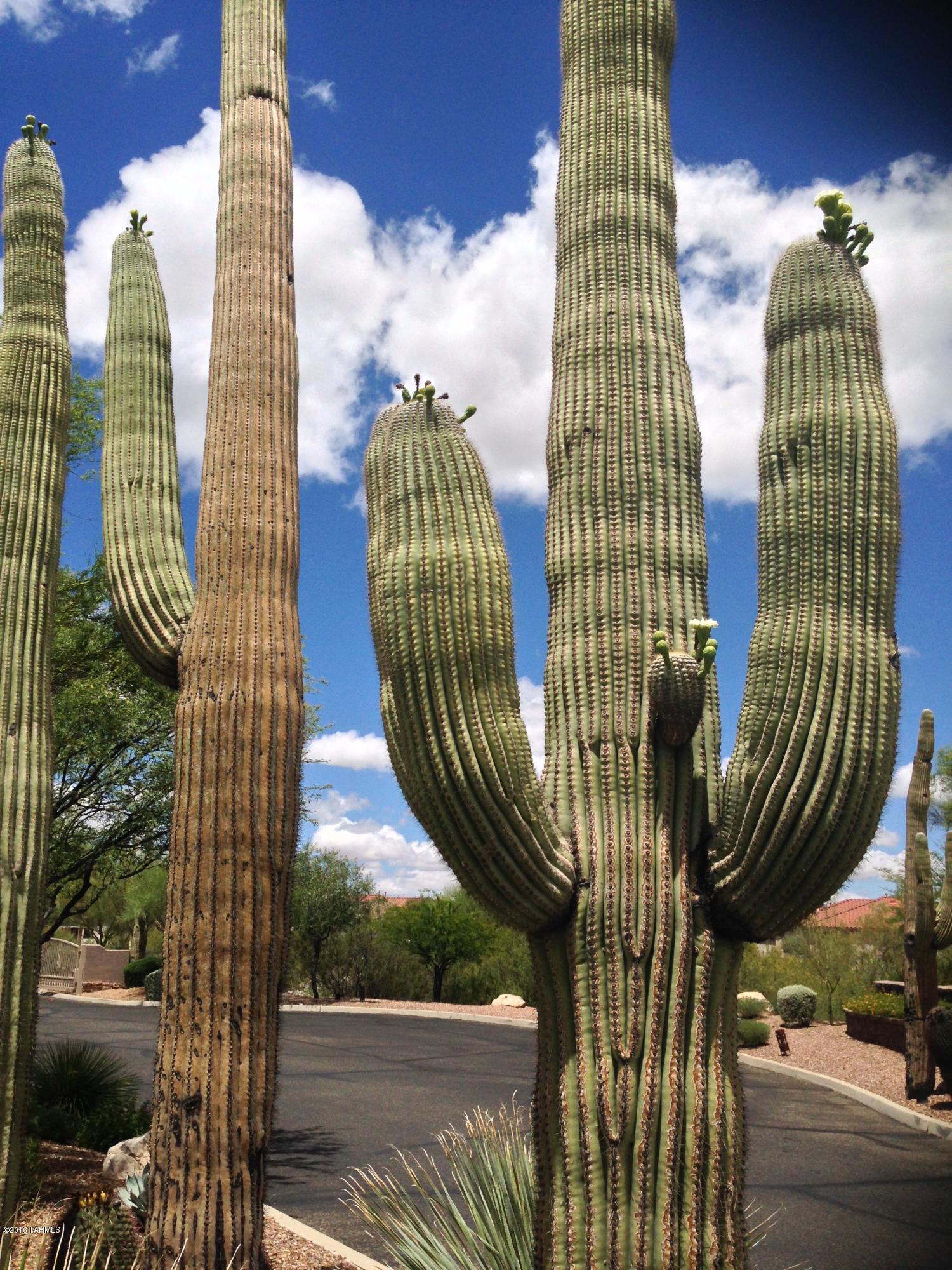 Rancho Agua Dulce (387- 781) - Residential