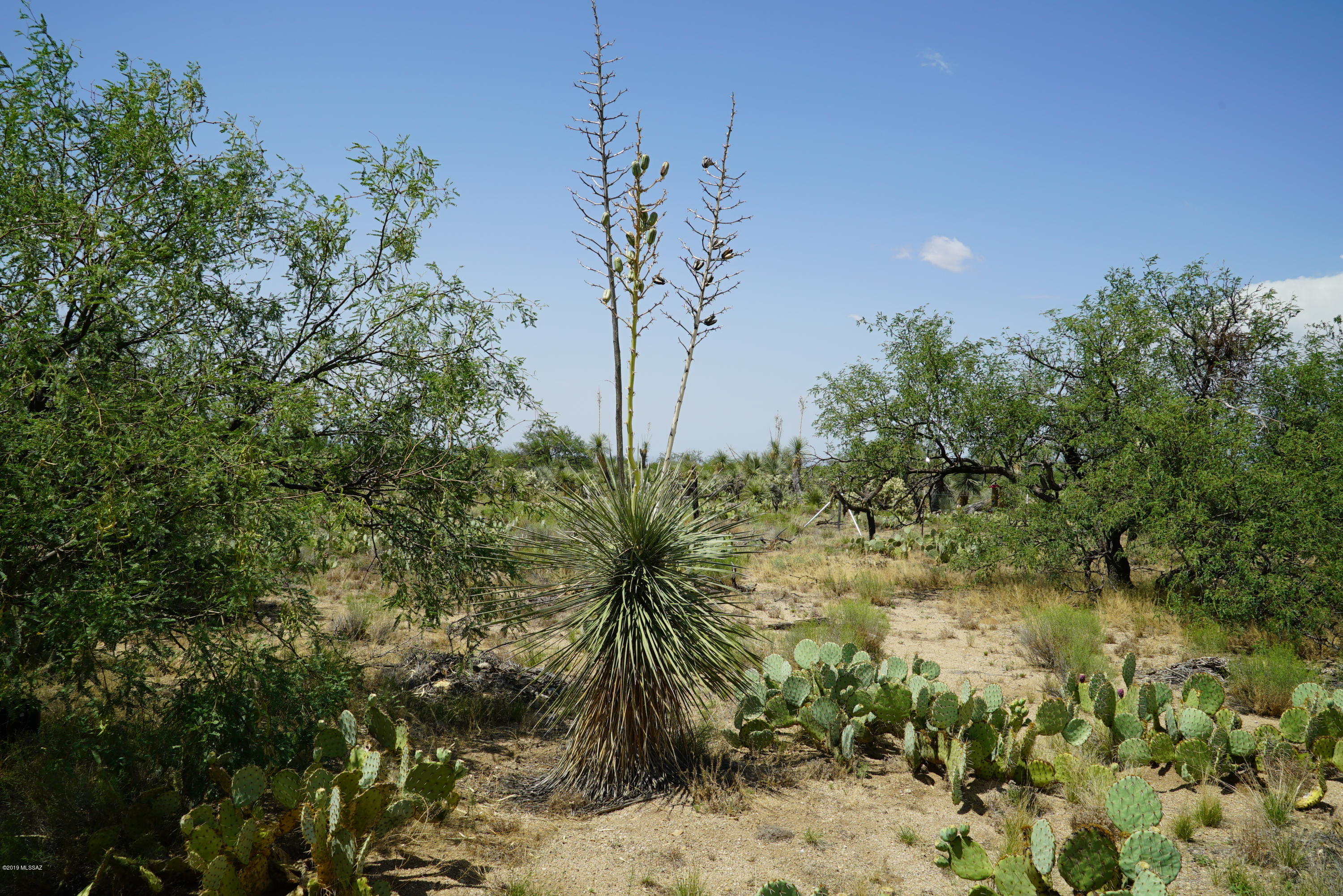 Diamond Bell Ranch - Tucson Unit 5 (1-521) - Land