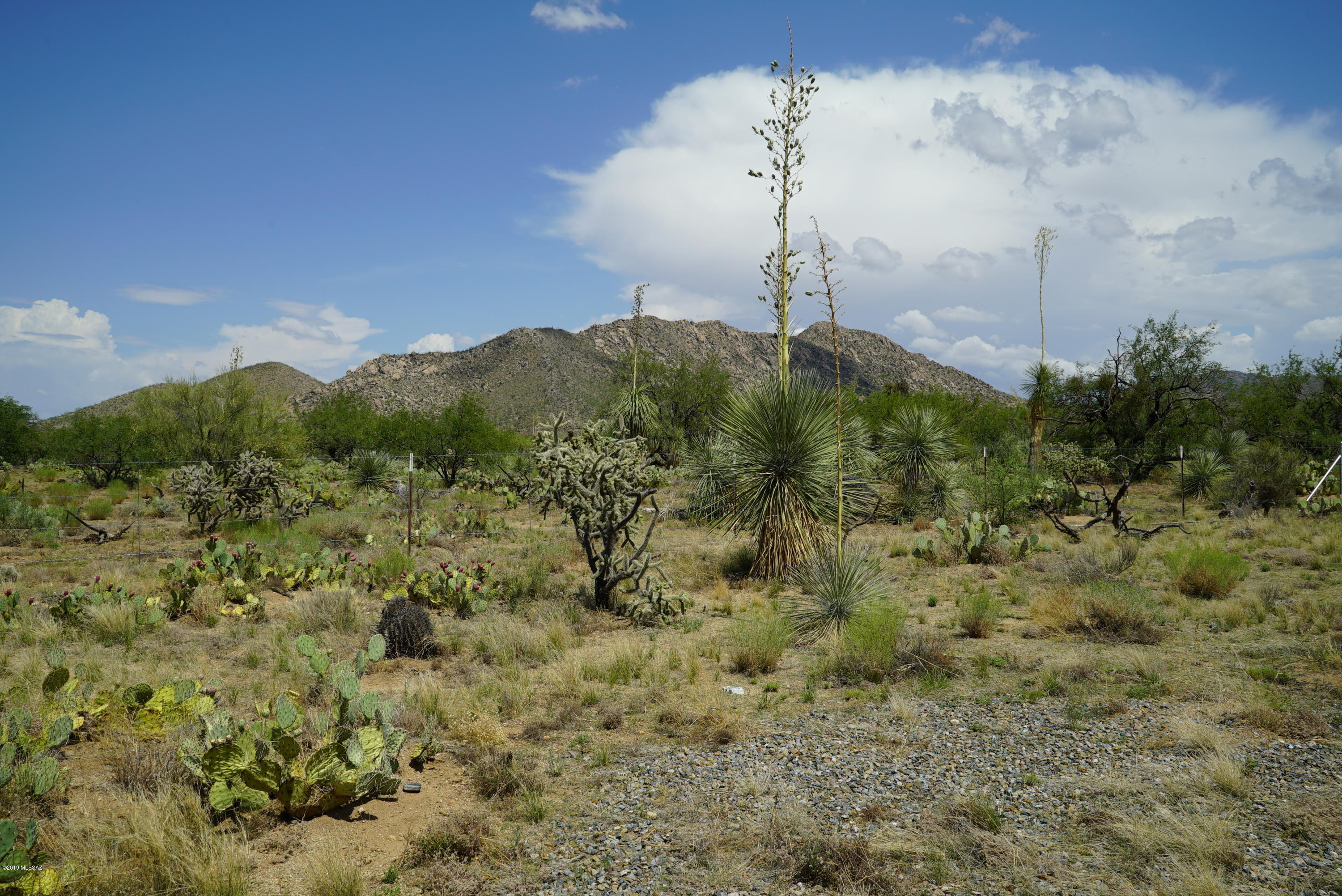 Diamond Bell Ranch - Tucson Unit 5 (1-521) - Land