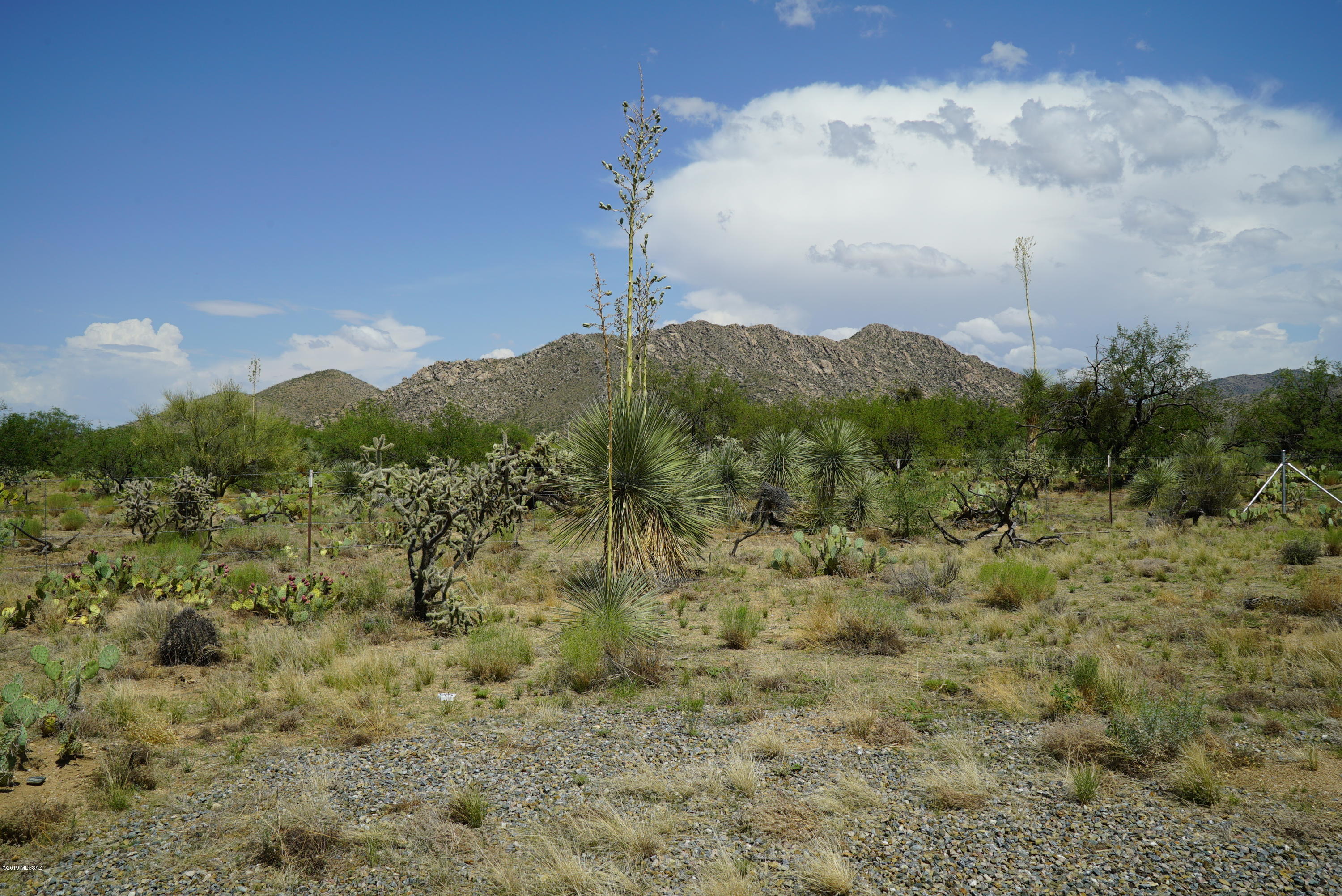 Diamond Bell Ranch - Tucson Unit 5 (1-521) - Land