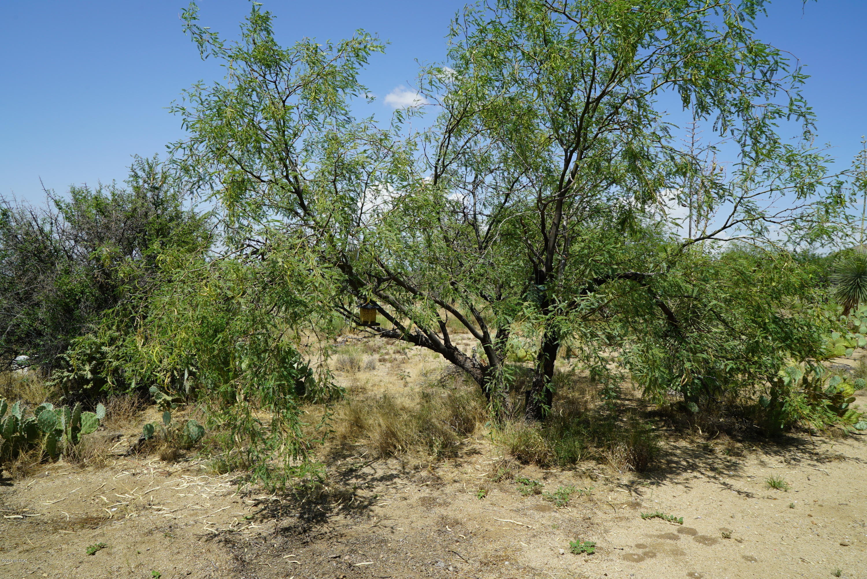 Diamond Bell Ranch - Tucson Unit 5 (1-521) - Land