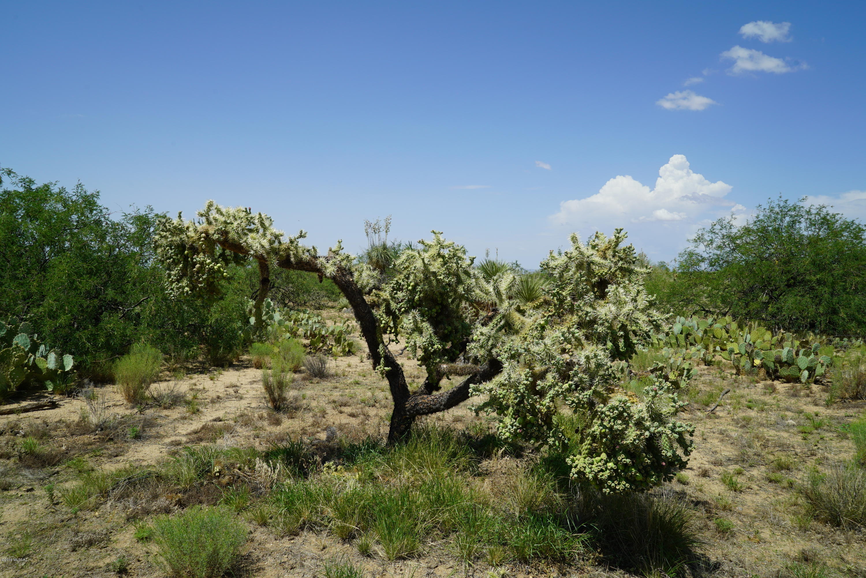 Diamond Bell Ranch - Tucson Unit 5 (1-521) - Land