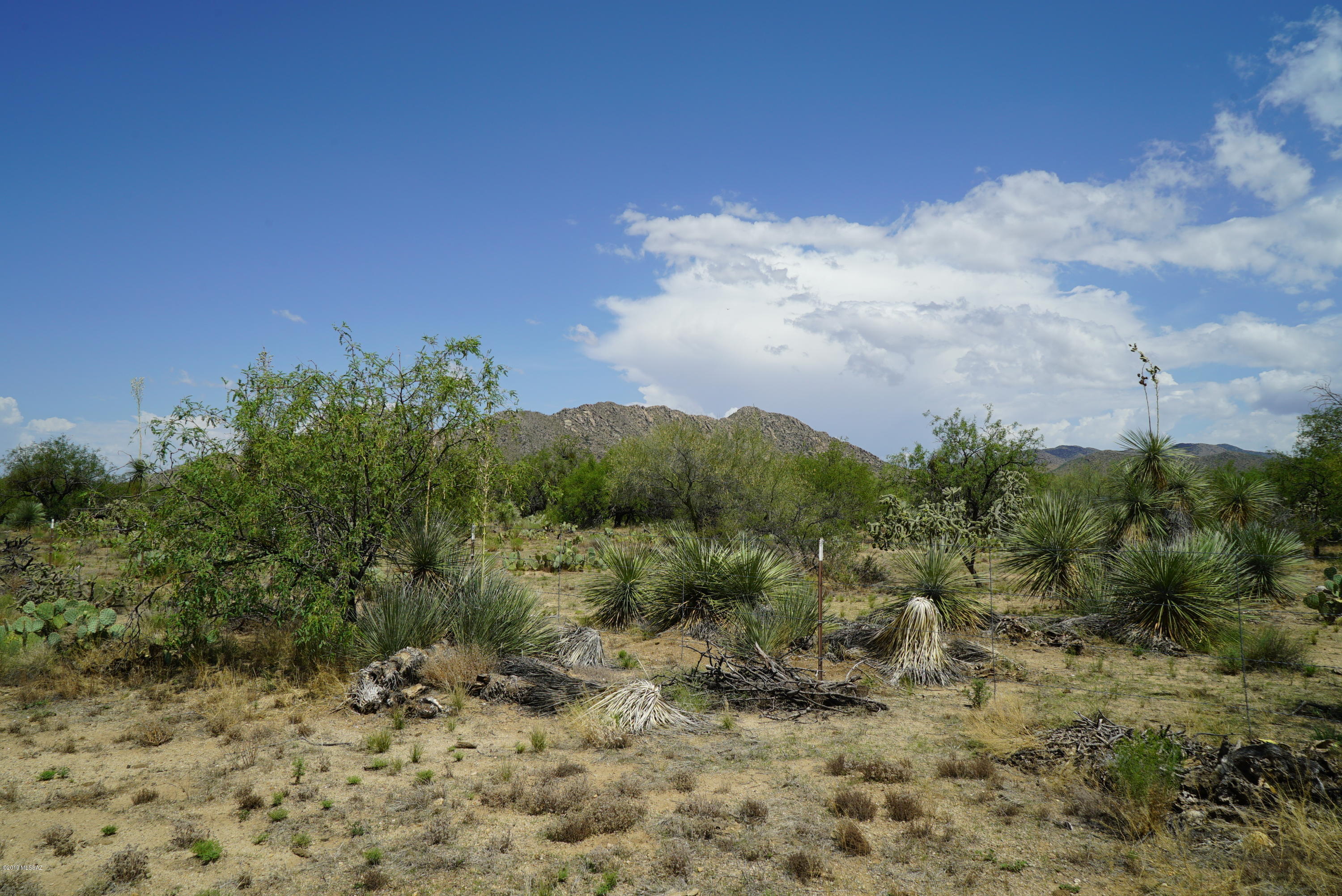 Diamond Bell Ranch - Tucson Unit 5 (1-521) - Land