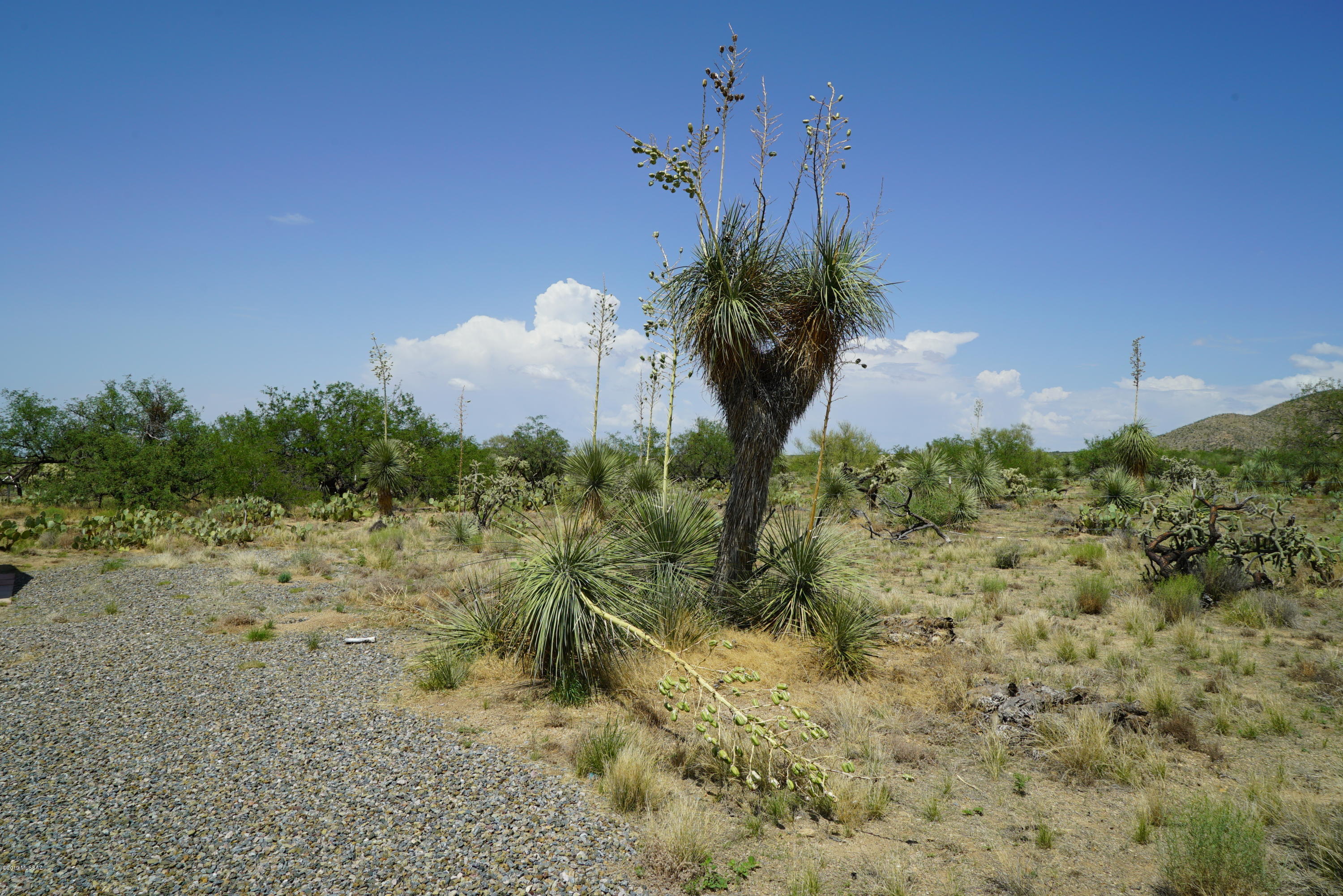 Diamond Bell Ranch - Tucson Unit 5 (1-521) - Land
