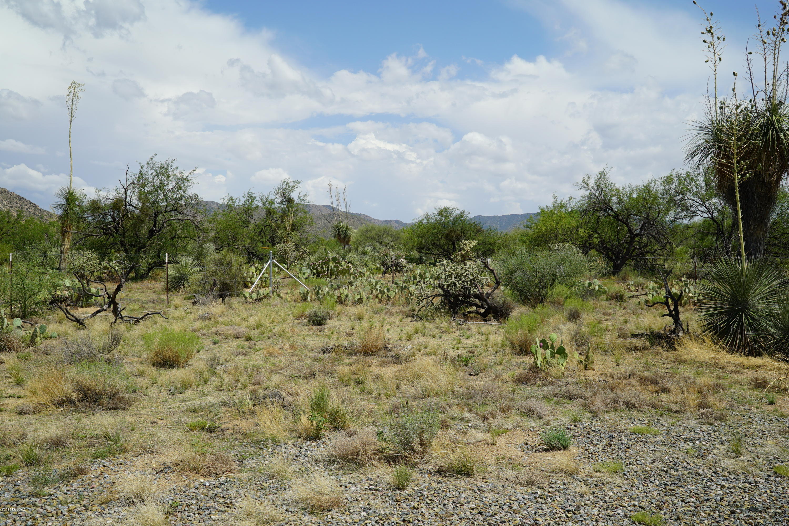 Diamond Bell Ranch - Tucson Unit 5 (1-521) - Land