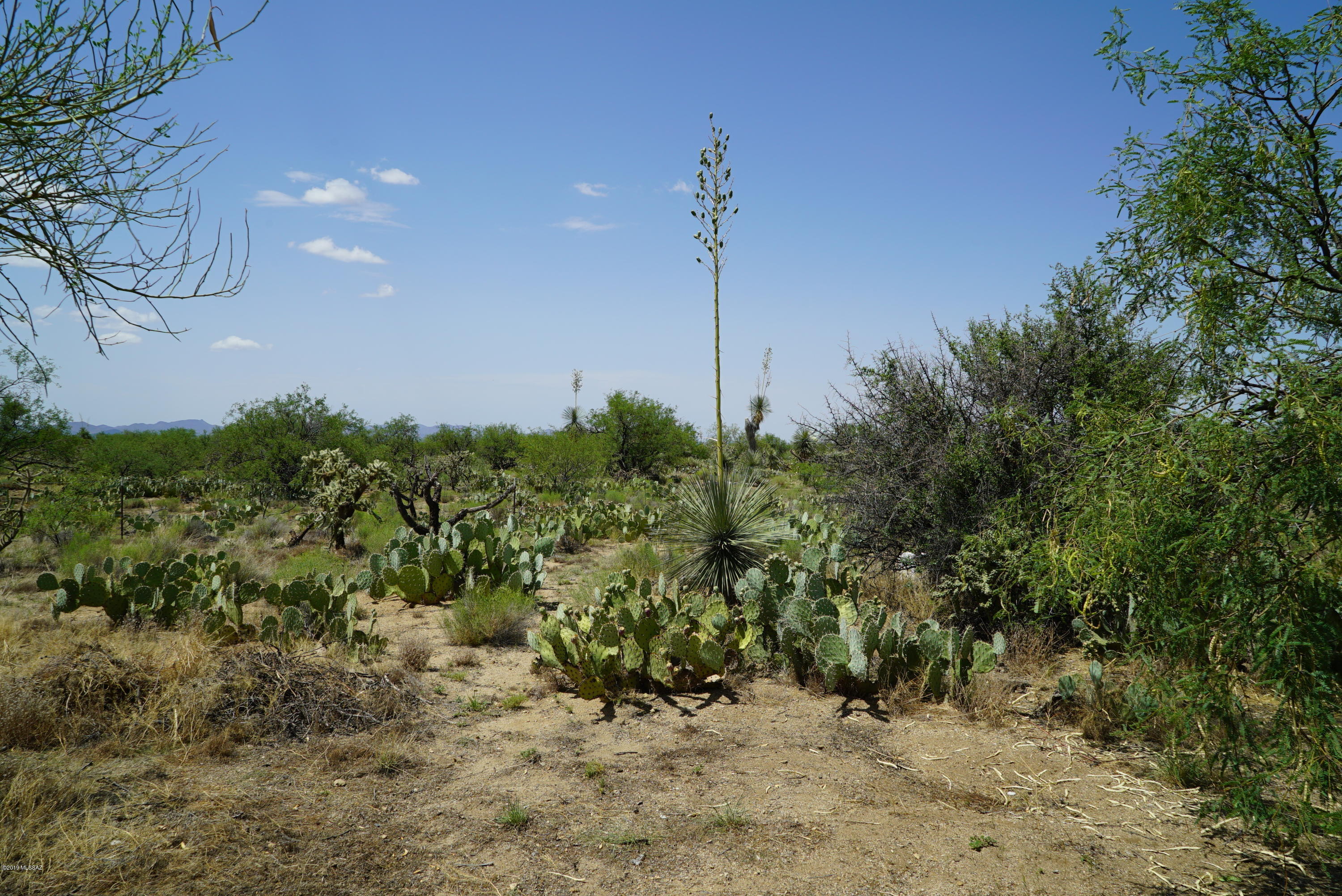 Diamond Bell Ranch - Tucson Unit 5 (1-521) - Land
