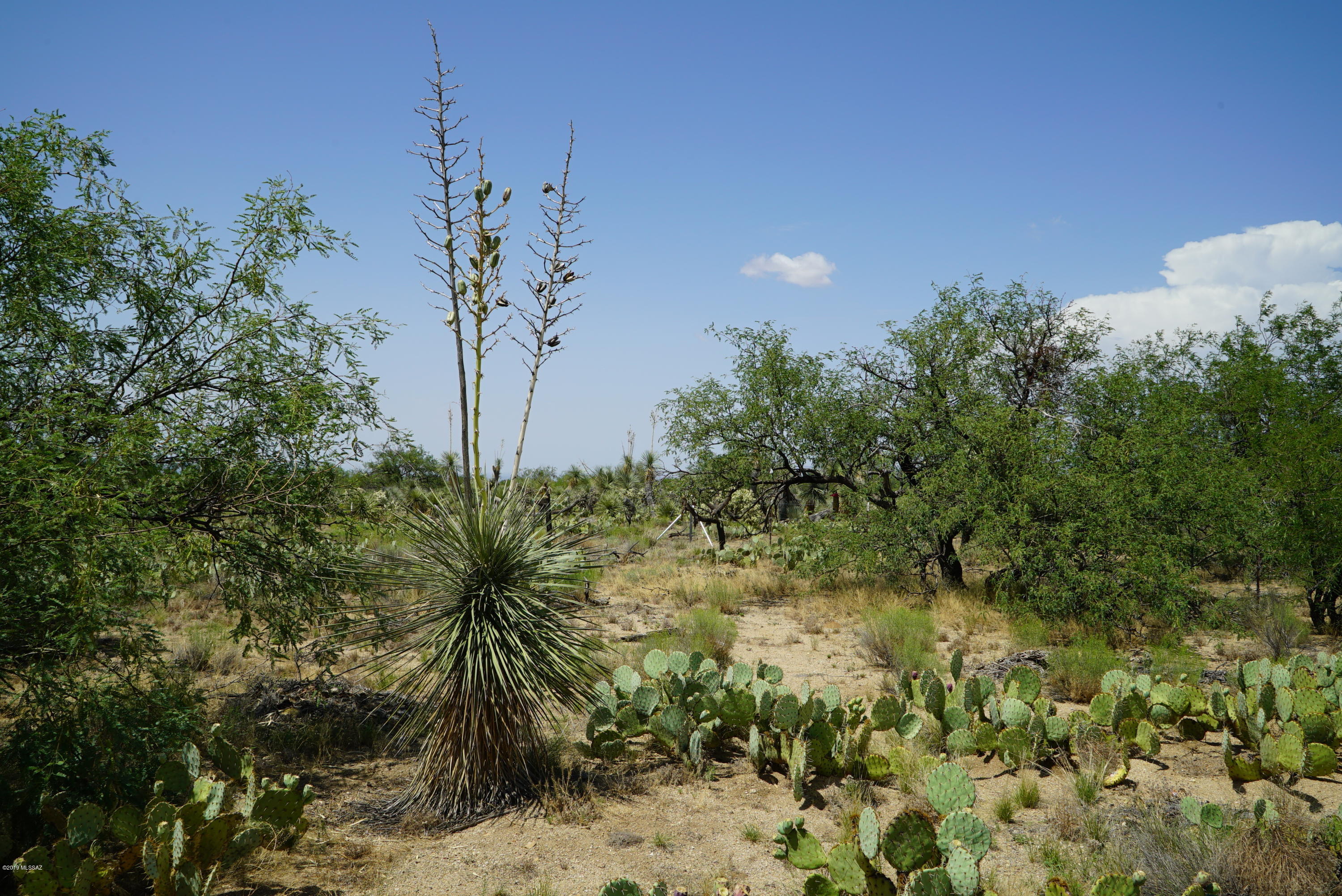 Diamond Bell Ranch - Tucson Unit 5 (1-521) - Land