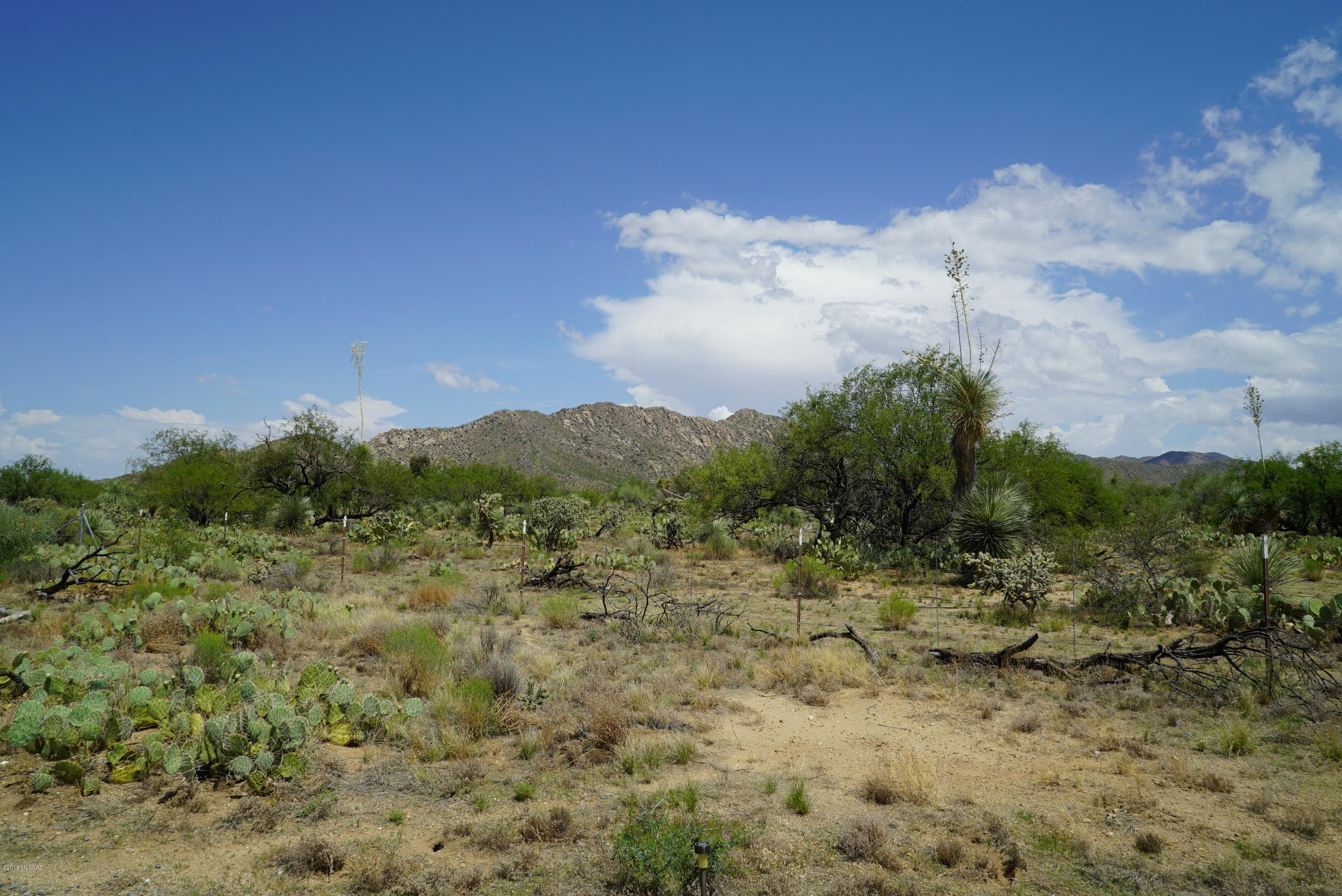 Diamond Bell Ranch - Tucson Unit 5 (1-521) - Land