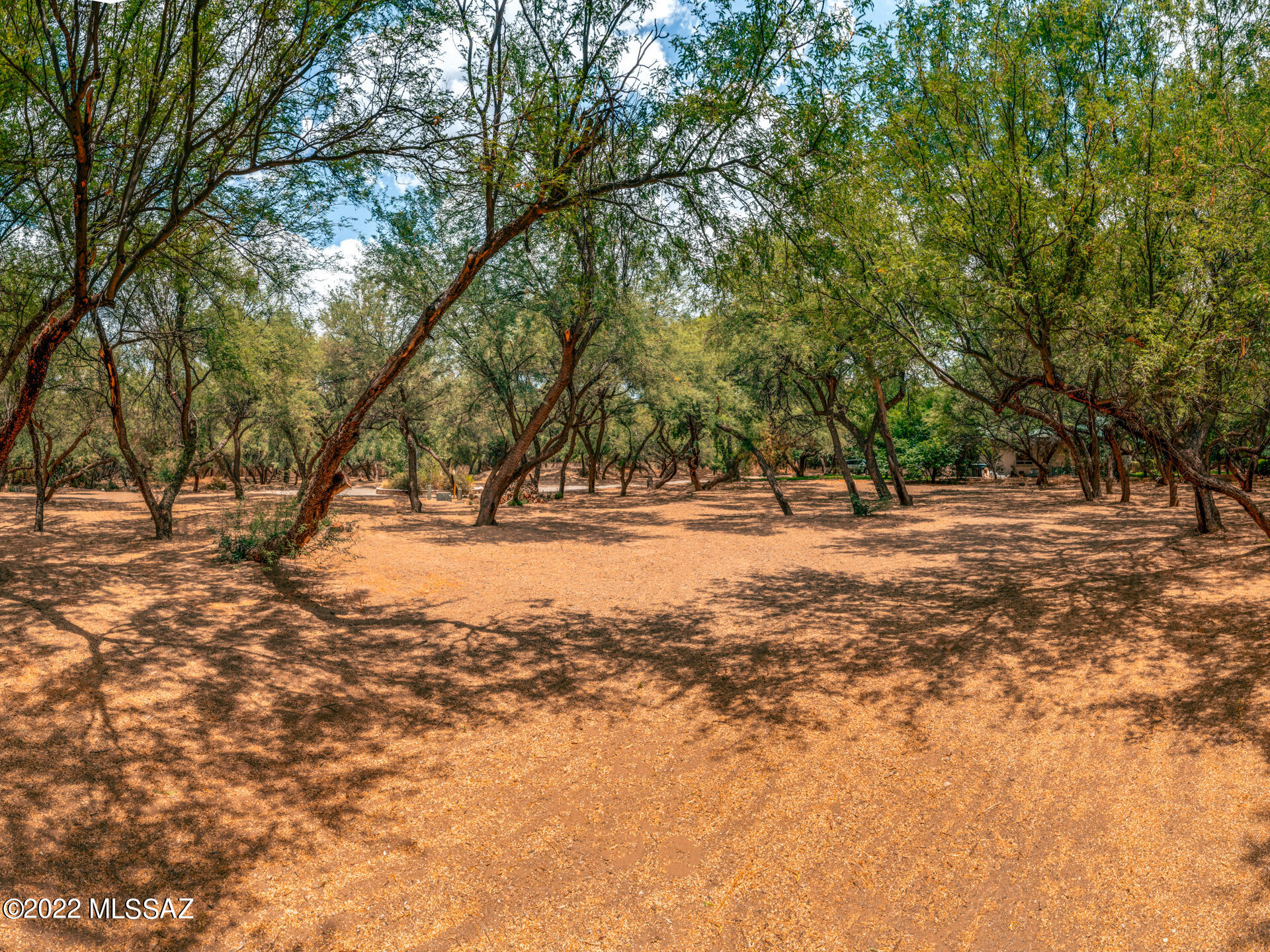 River Forest (1-20) - Land