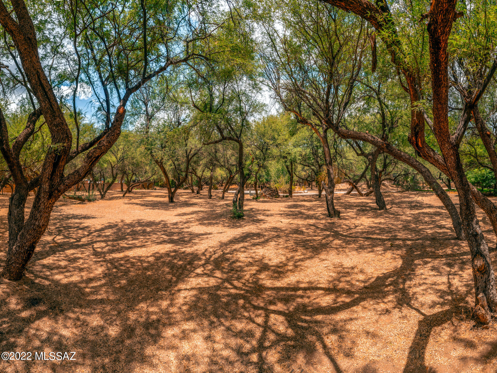 River Forest (1-20) - Land