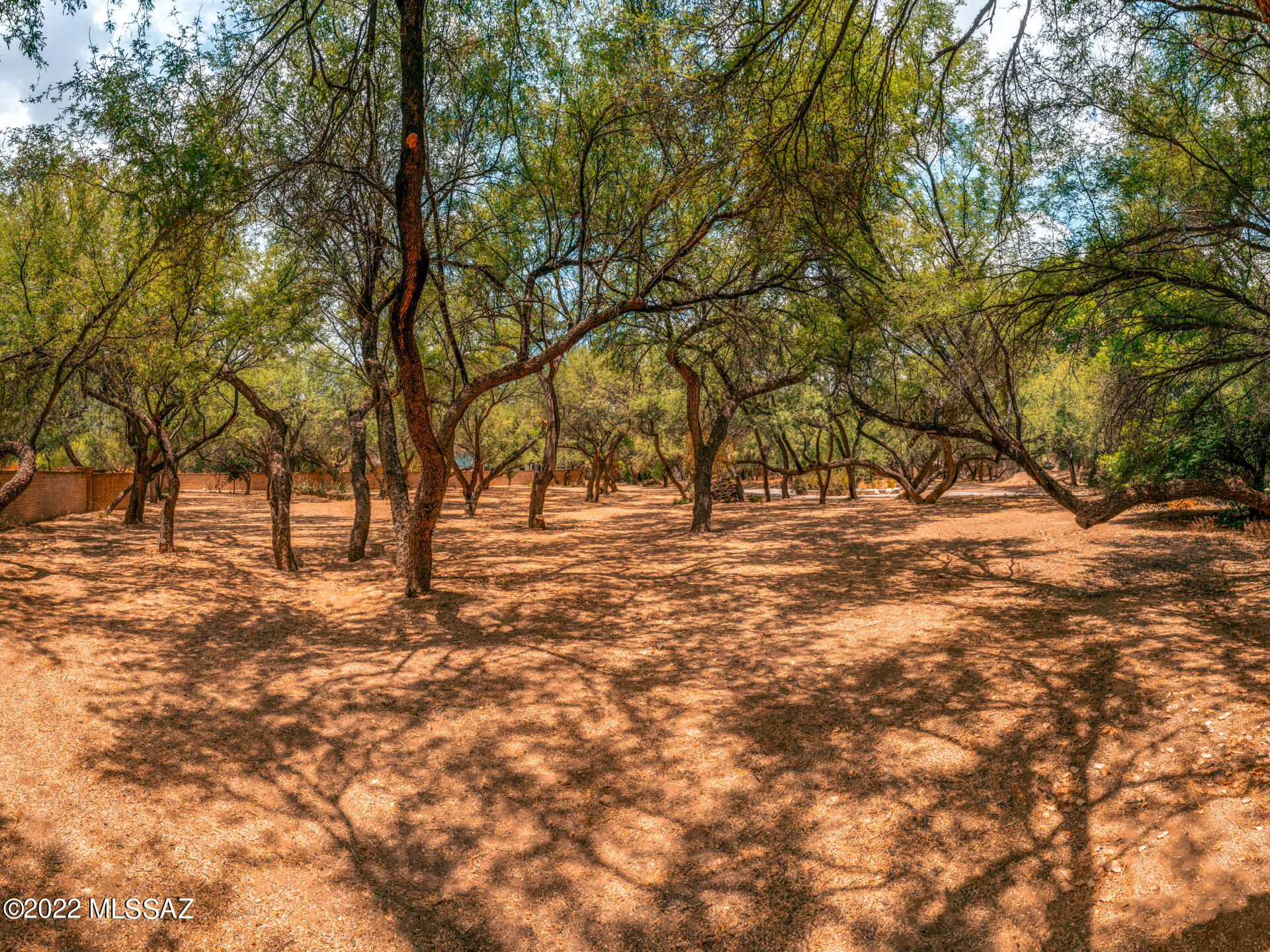 River Forest (1-20) - Land