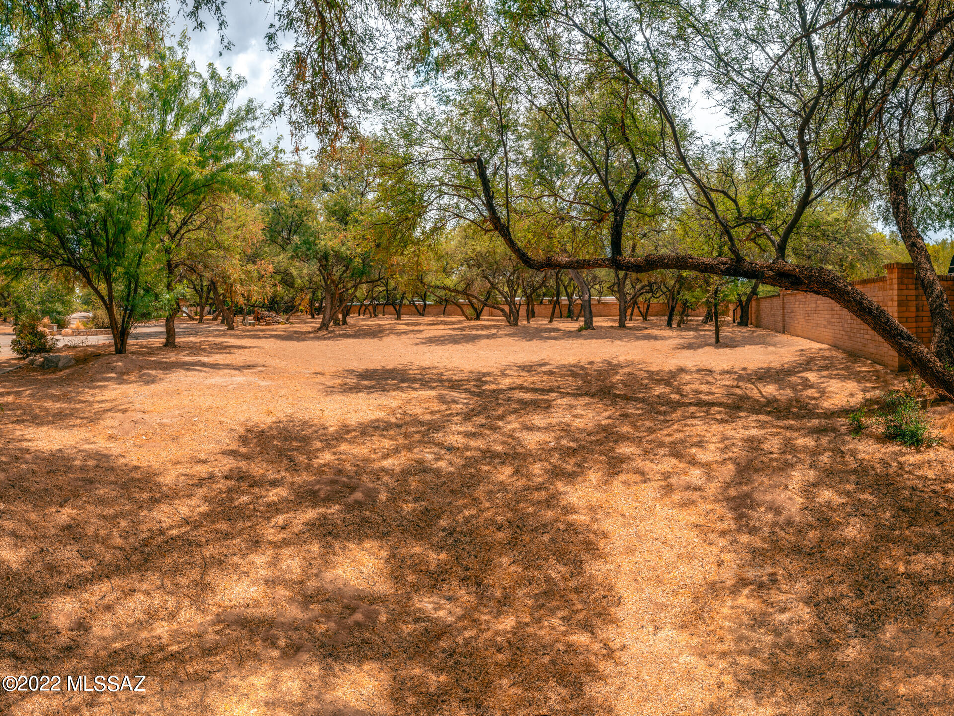 River Forest (1-20) - Land