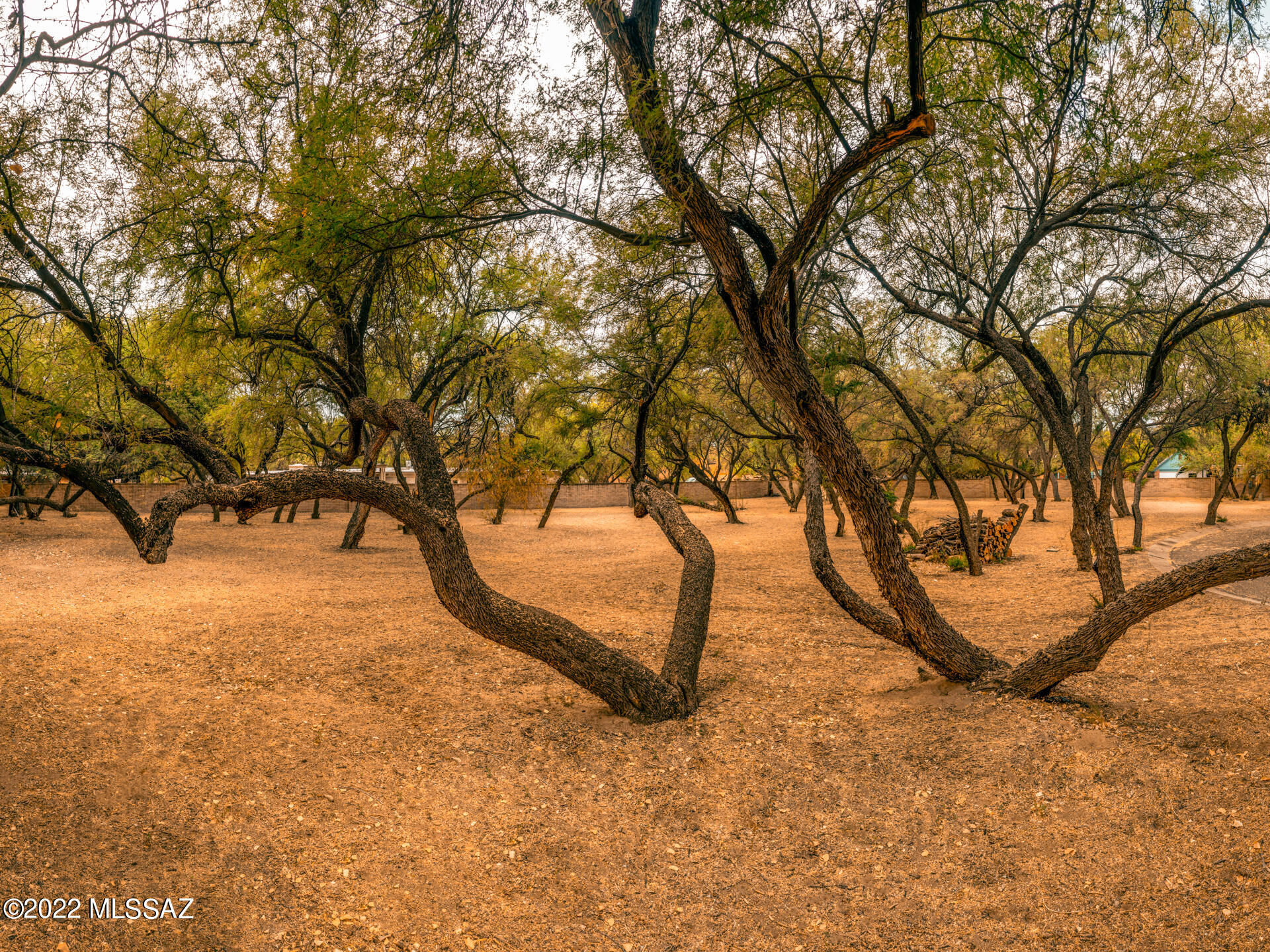 River Forest (1-20) - Land