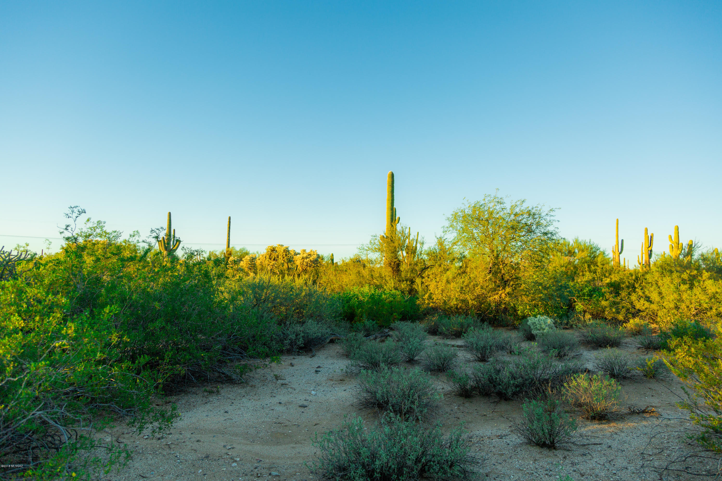 Beautiful 15 Acre lot dotted with mature Saguaros and Mesquite Trees. State land touches the east end of the property leaving gorgeous views of the Tortolita Mountains.  Perfect location for your dream off-grid home build with plenty of space away from it all!