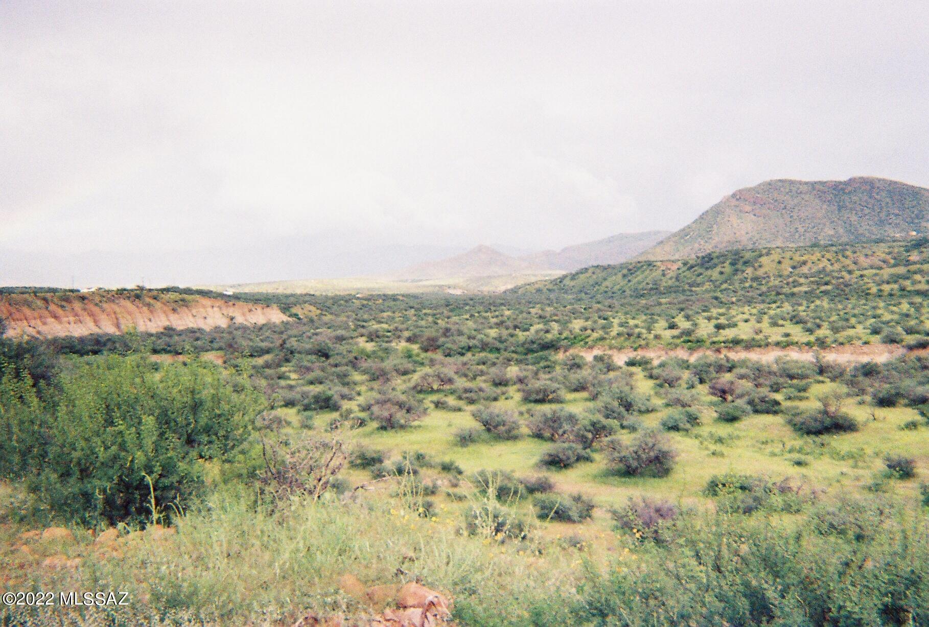 Rio Rico Estates - Land