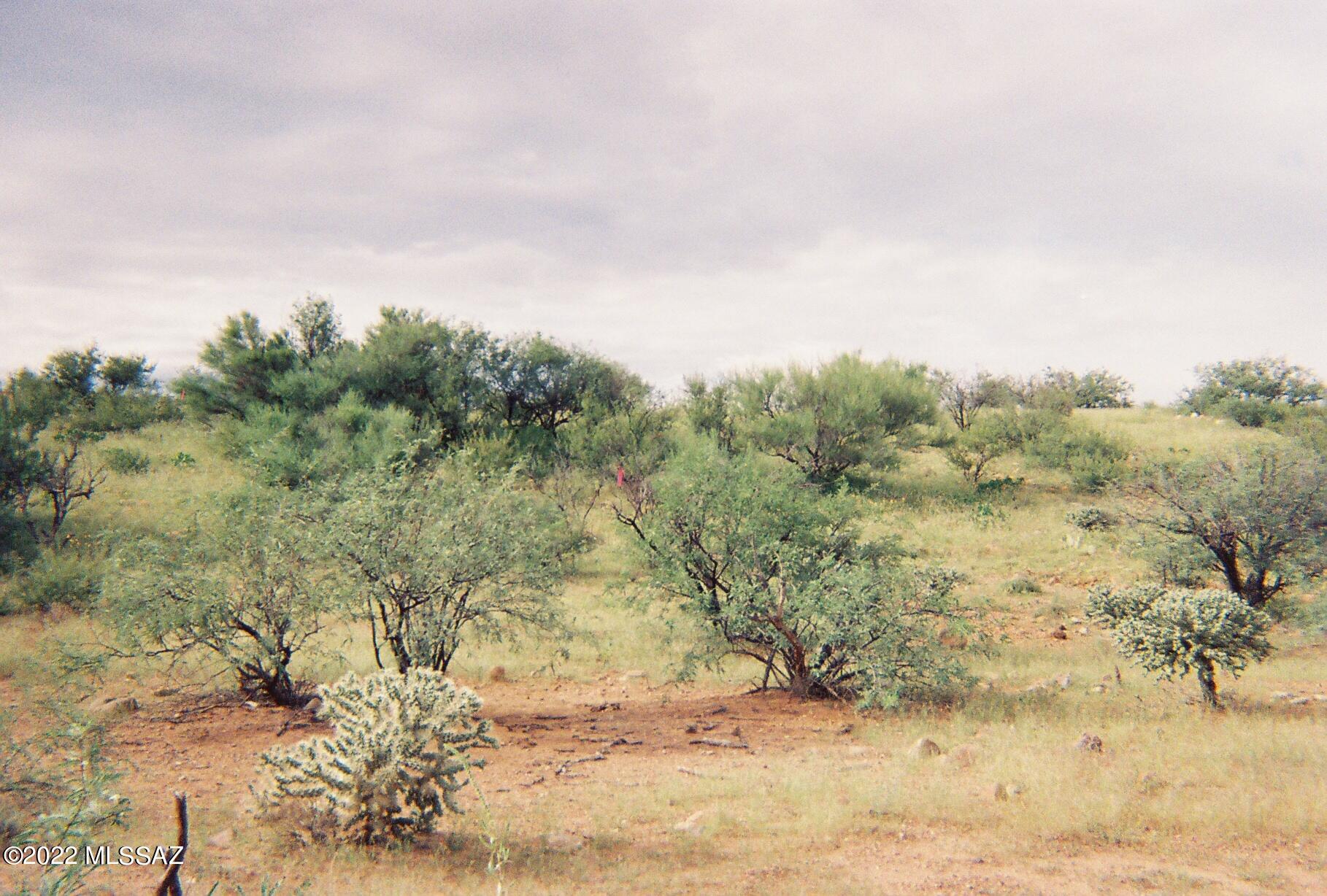 Rio Rico Estates - Land