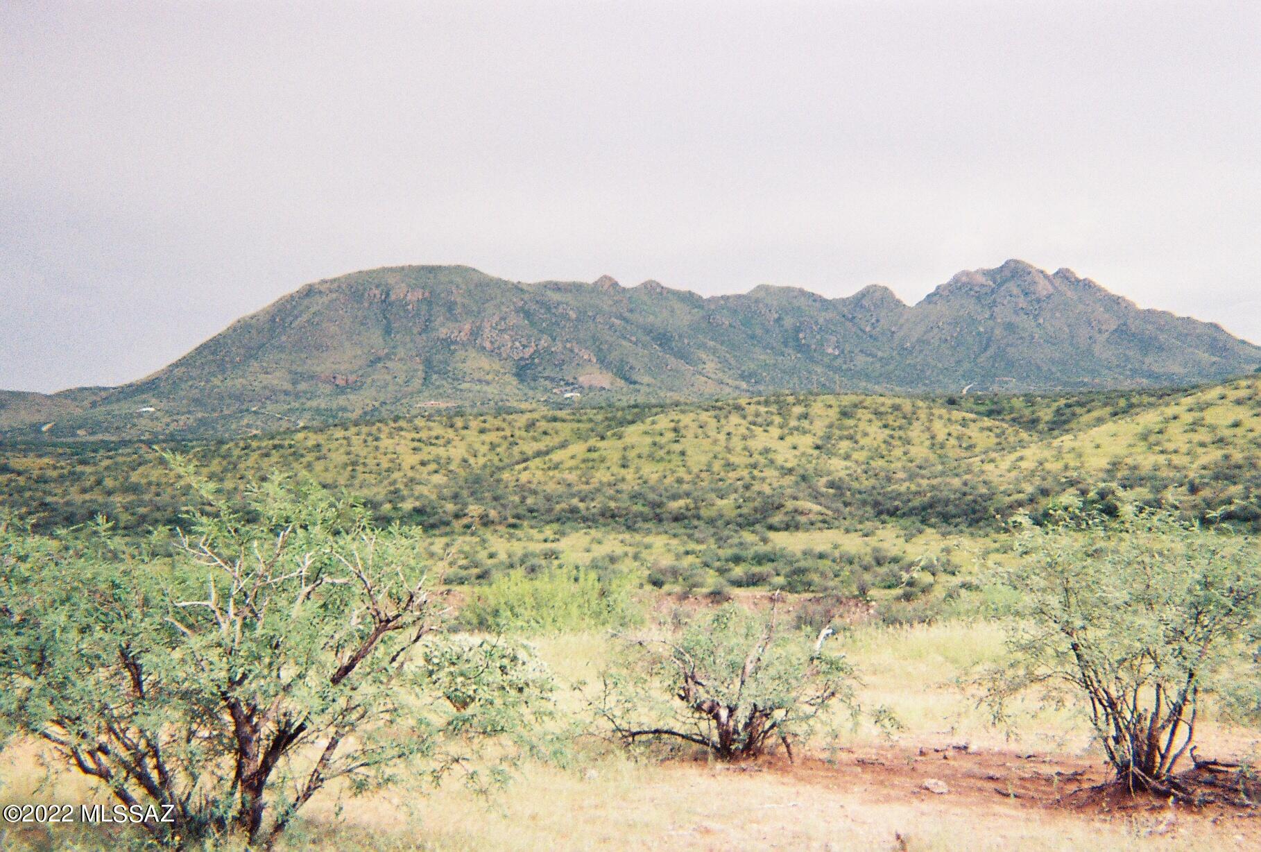 Rio Rico Estates - Land