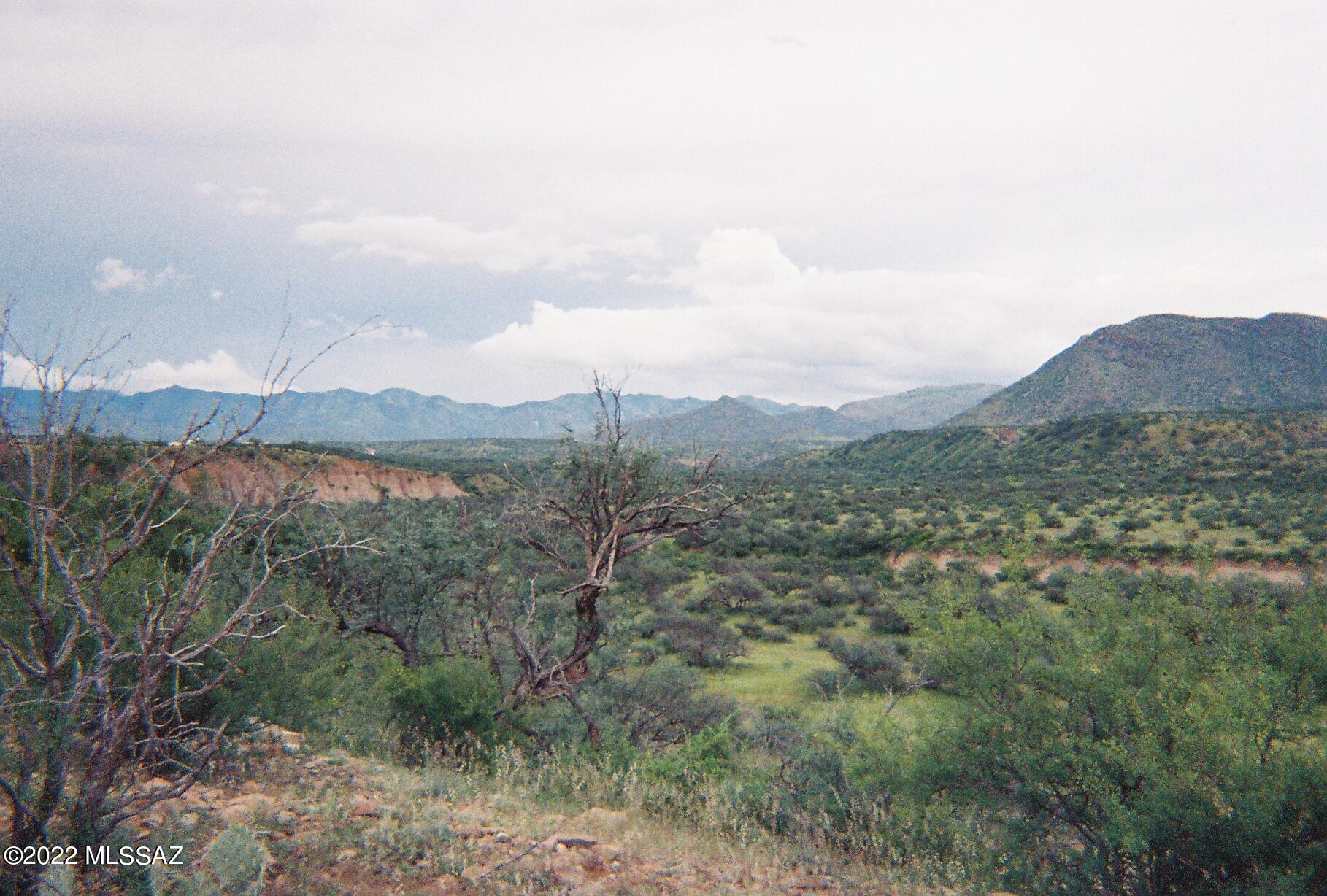 Rio Rico Estates - Land