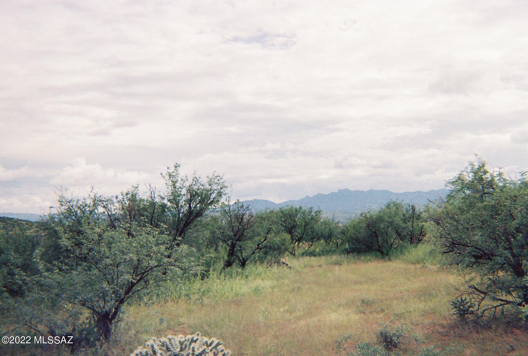 Rio Rico Estates - Land