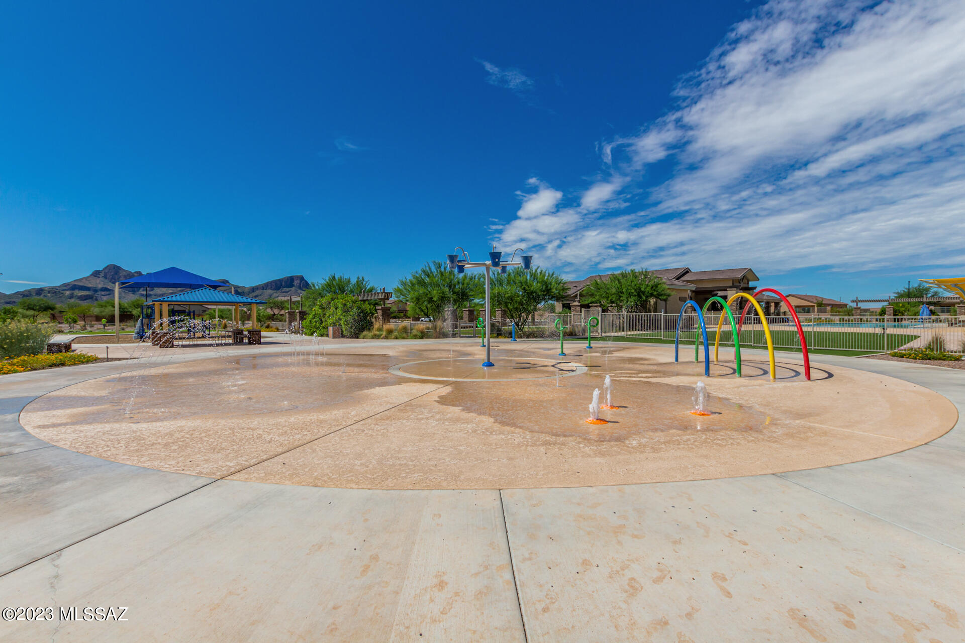 Saguaro Bloom SQ20180540069 - Residential