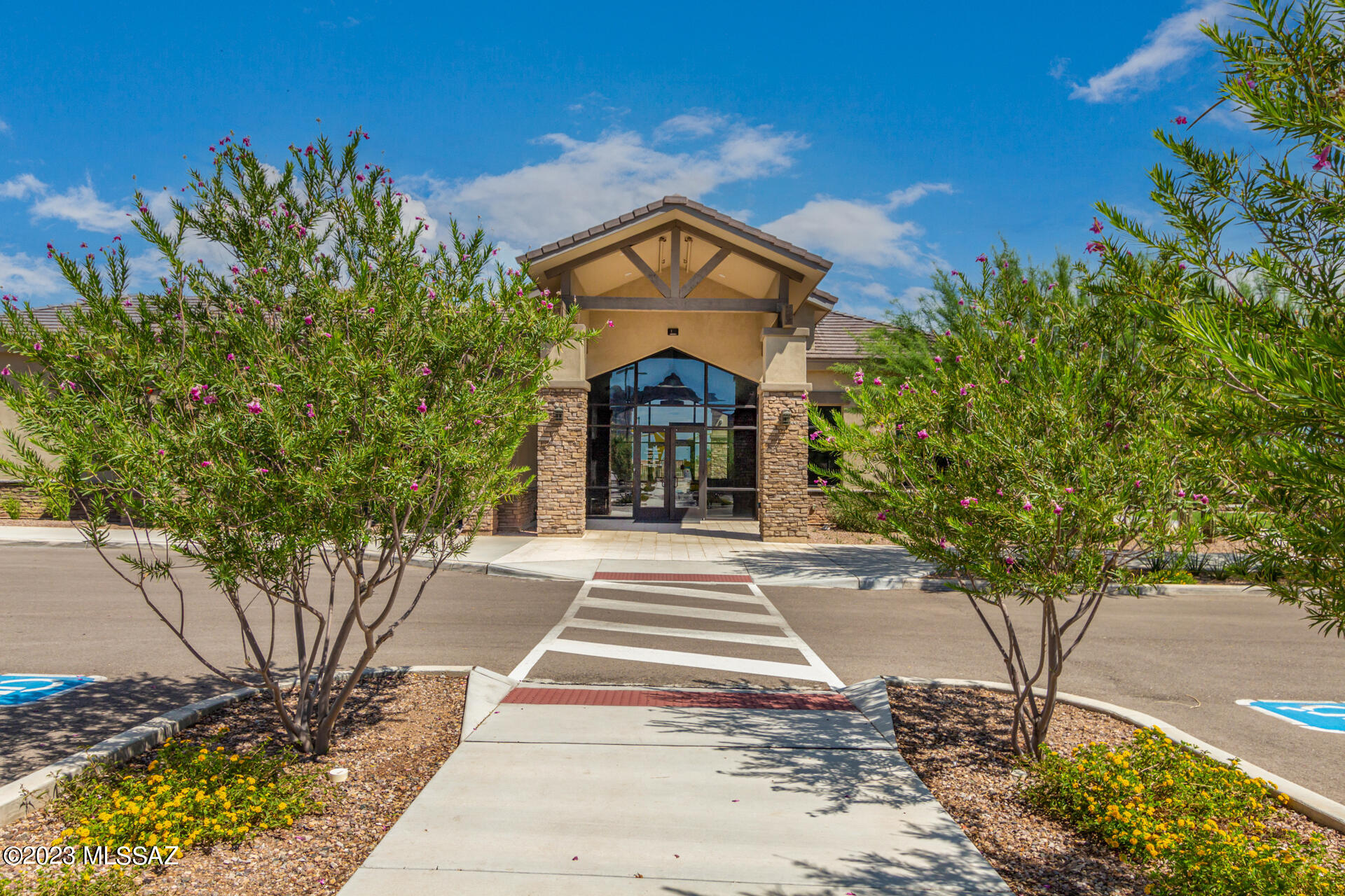 Saguaro Bloom SQ20180540069 - Residential