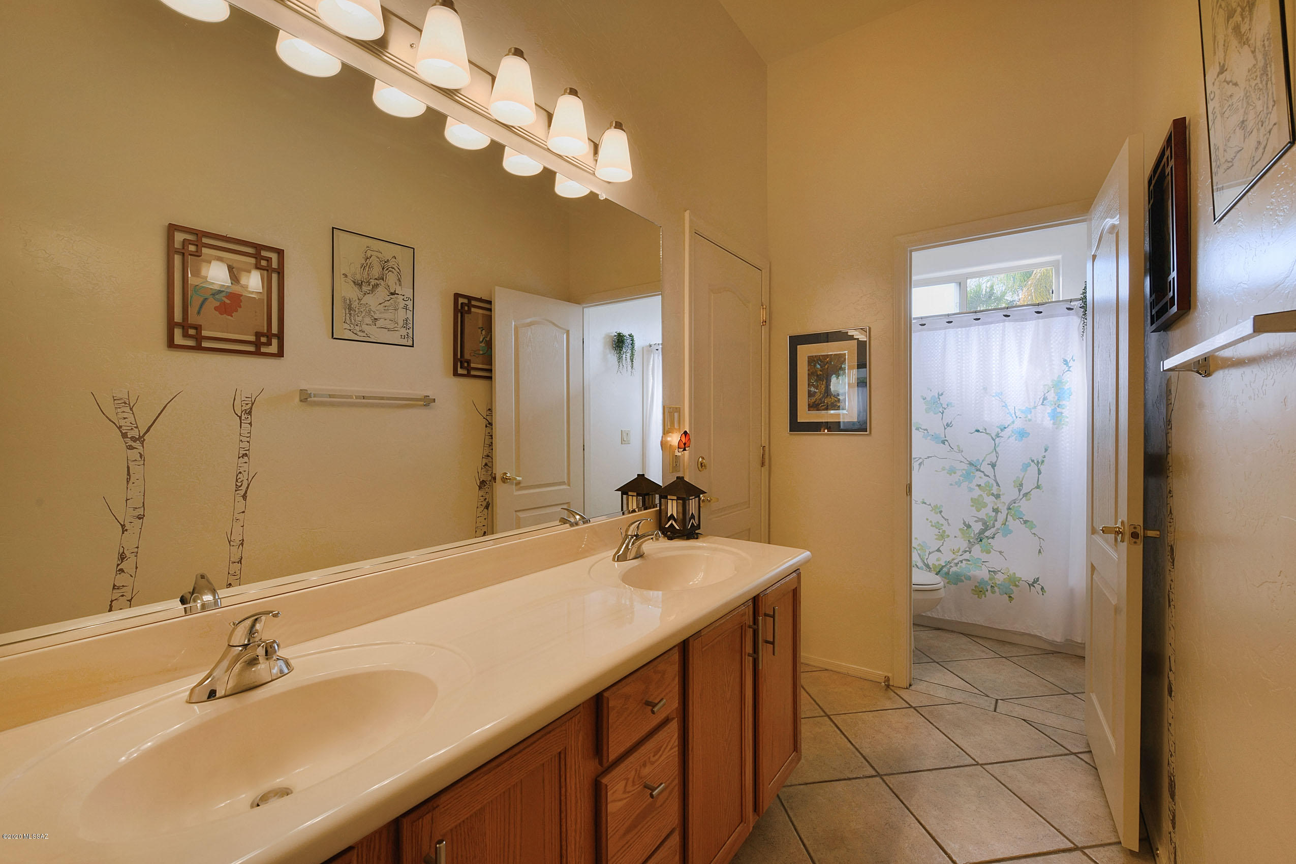 Rancho Vistoso Nghborhd5 - Residential
