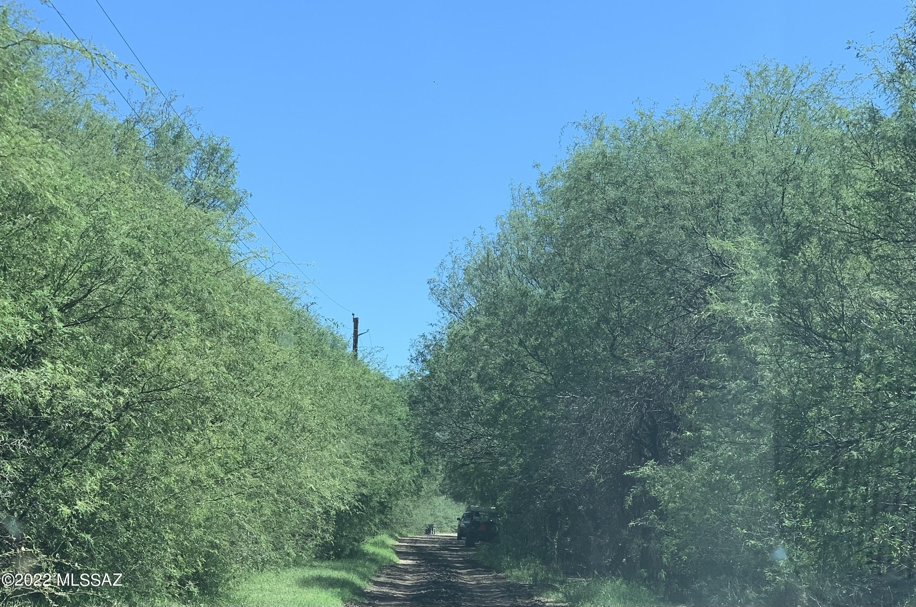 None - Land