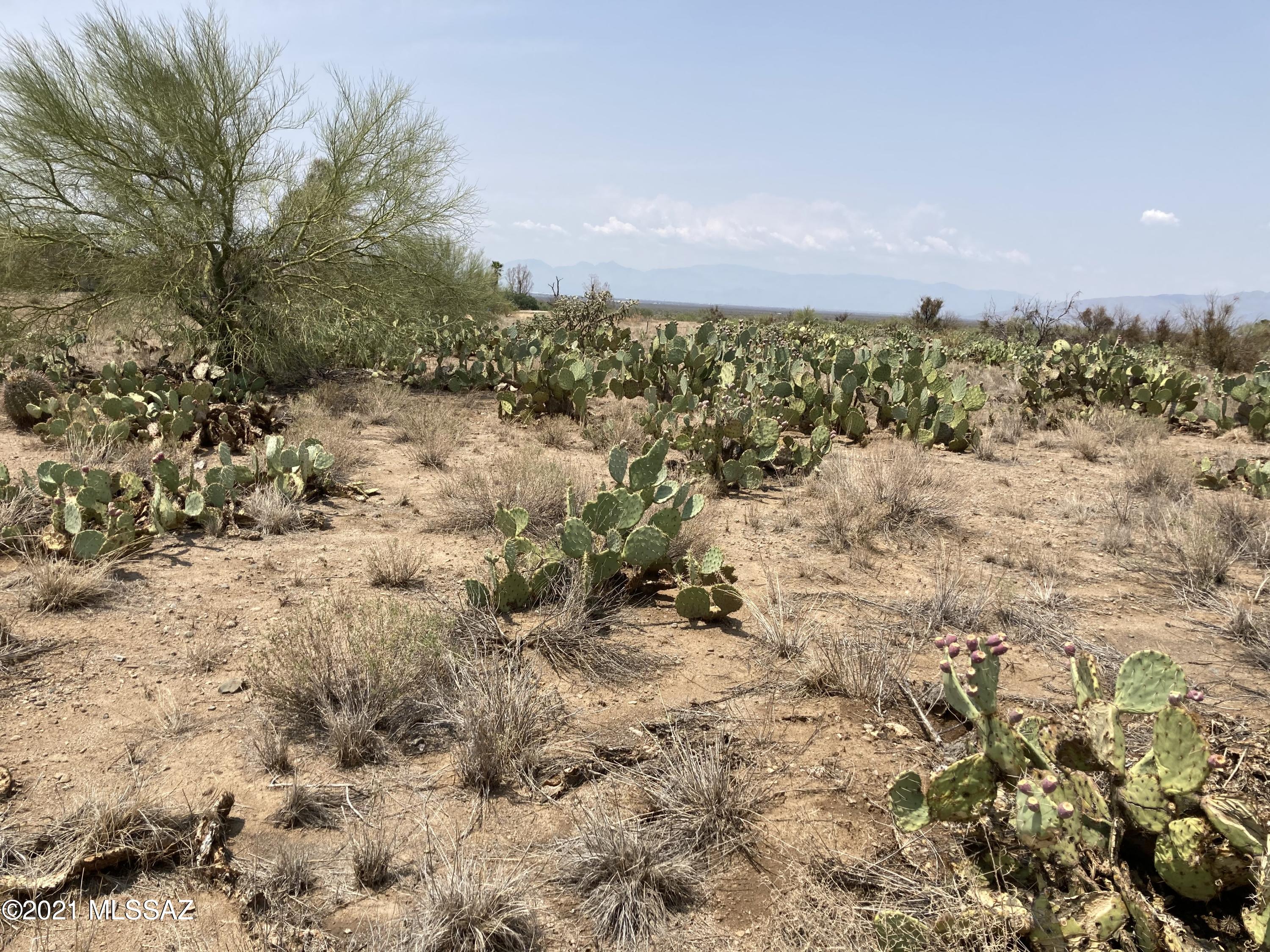 New Tucson Unit NO. 4 (1-203) - Land