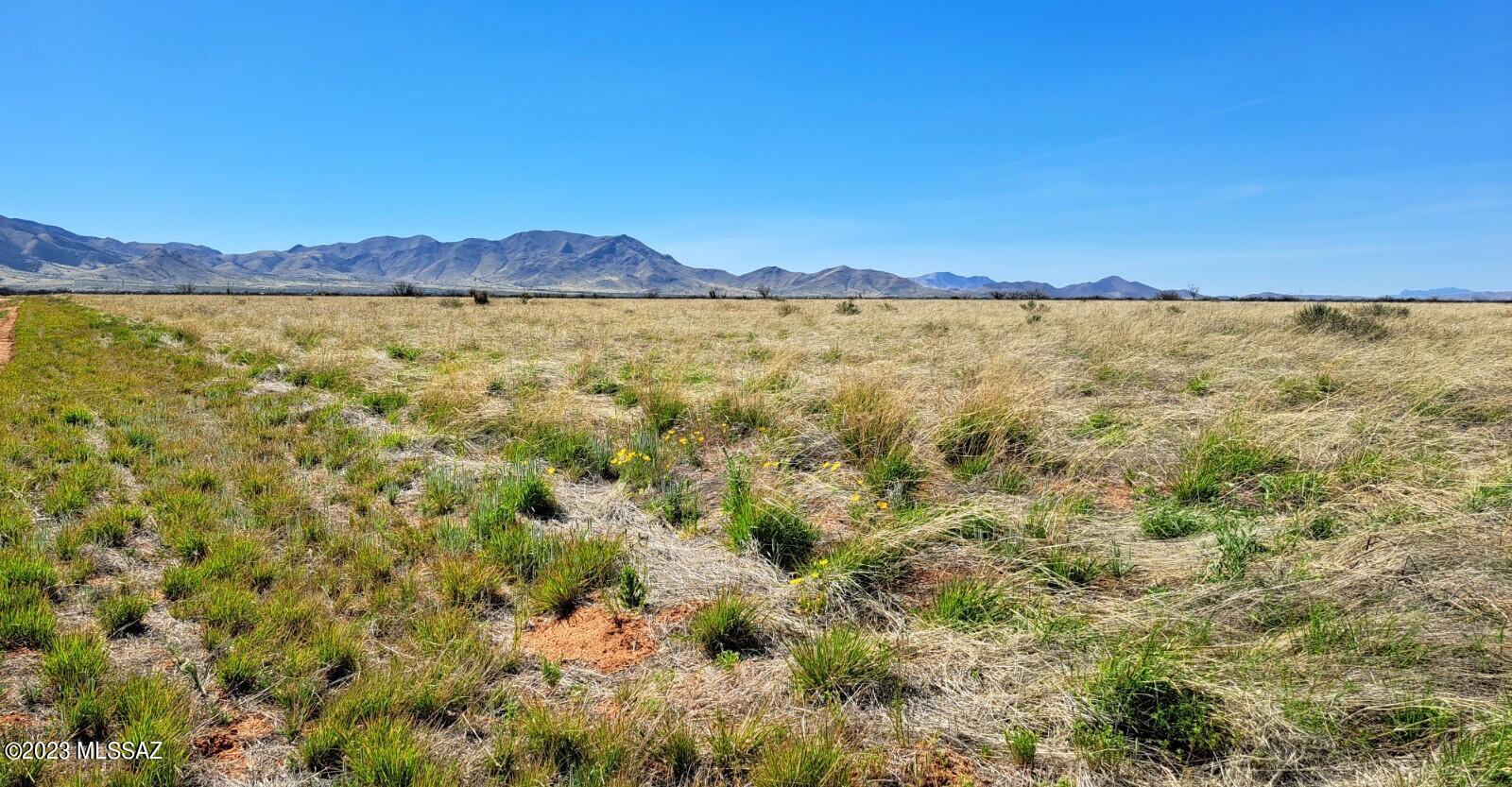 Arizona Sun Sites - Land