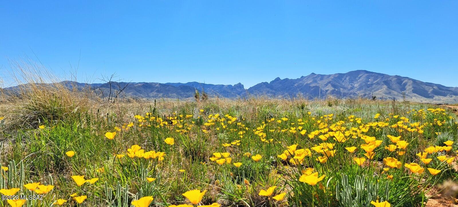 Arizona Sun Sites - Land