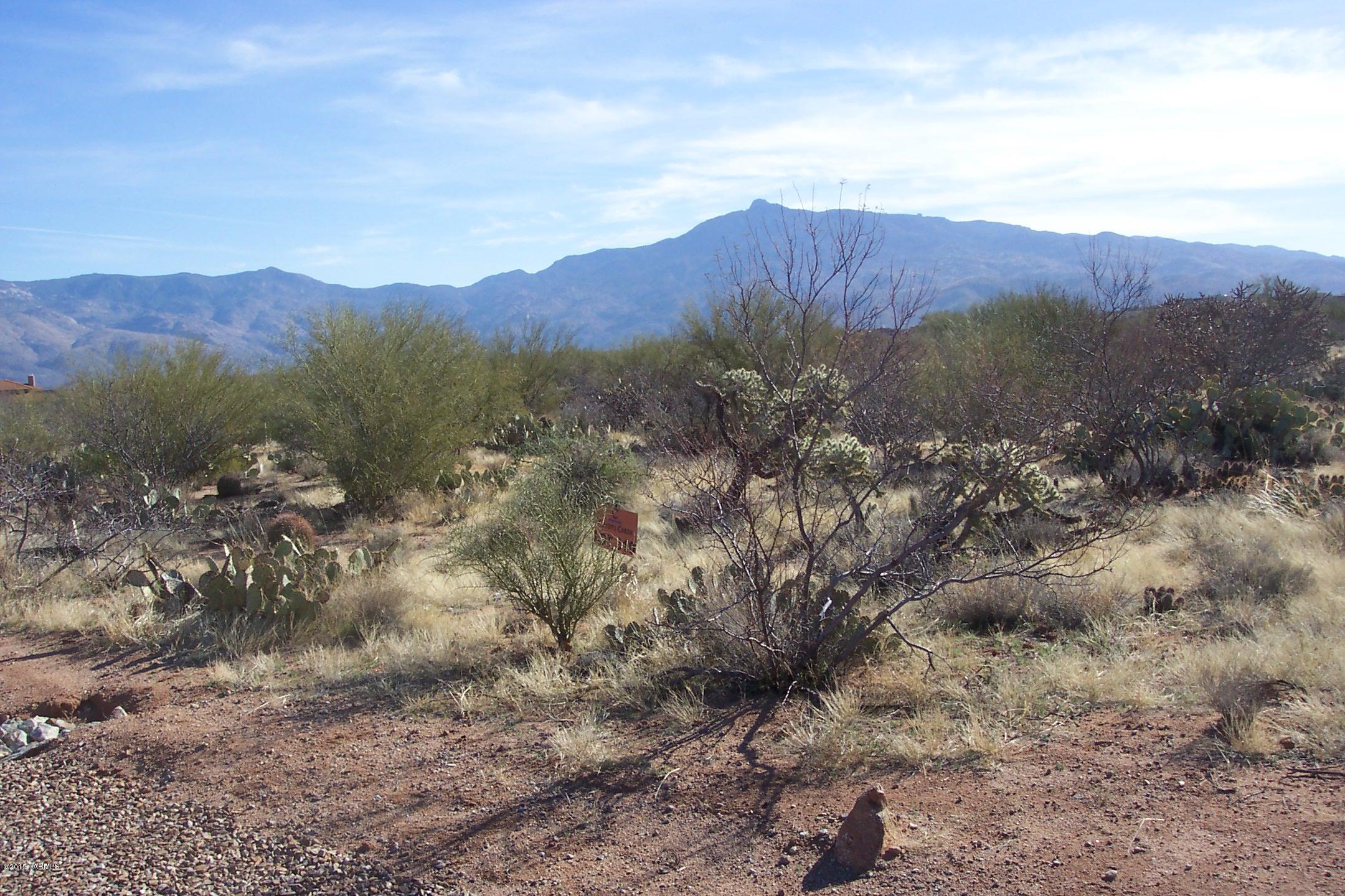 Coyote Creek (1-395) - Land