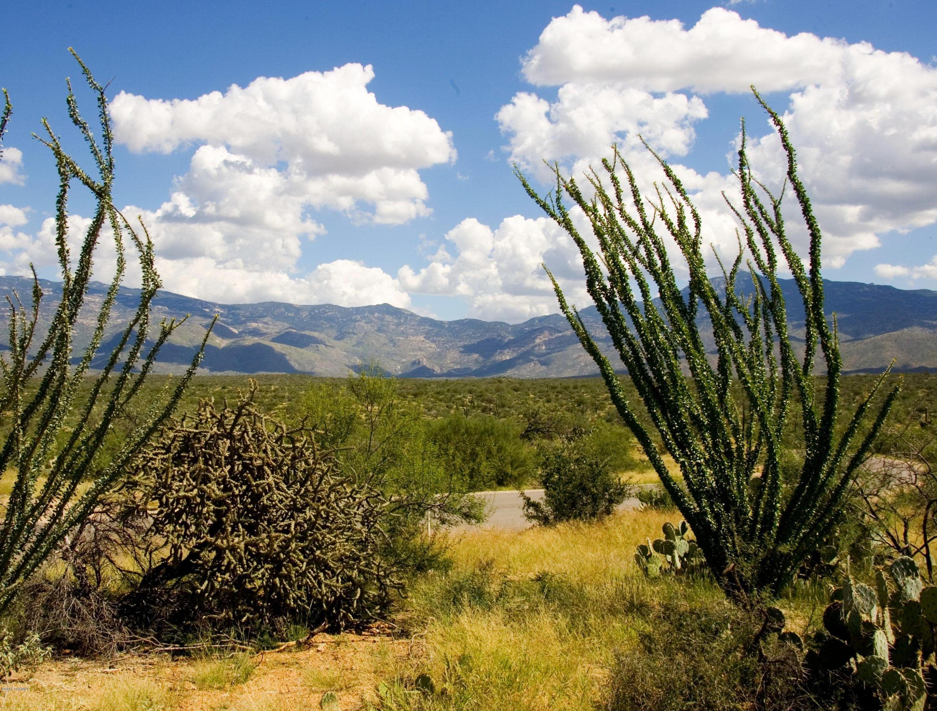 Coyote Creek (1-395) - Land