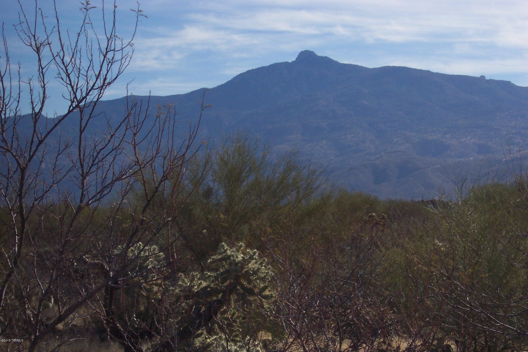 Coyote Creek (1-395) - Land