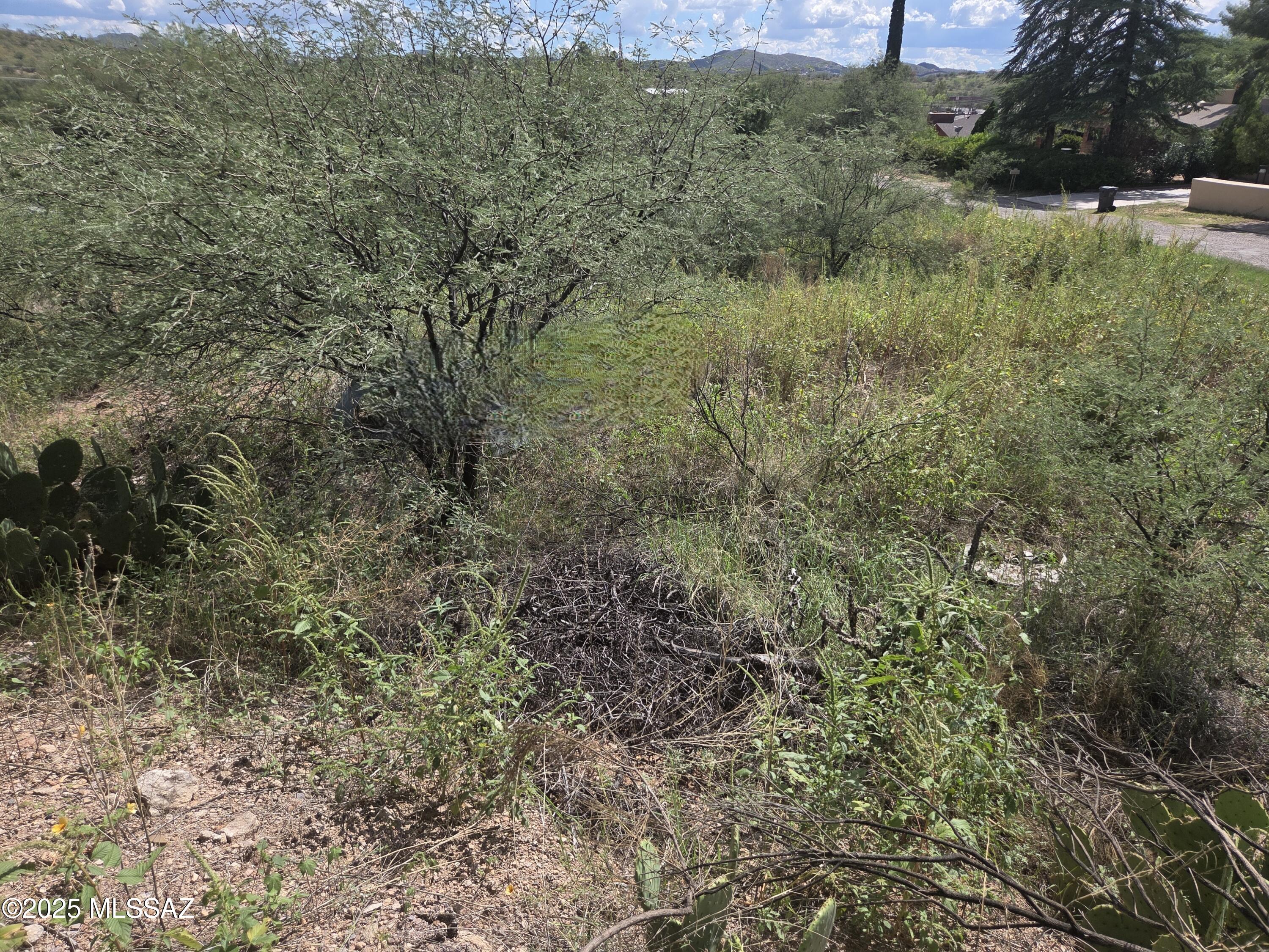 Wonderful property ready for you to build that home you always wanted close to the center of town yet in a more serene and well established area of the city.  Offers easy access to HWY 82, sits within 5 minutes from the center of town where you will find  Medical, groceries, retail and much more.  Must see...