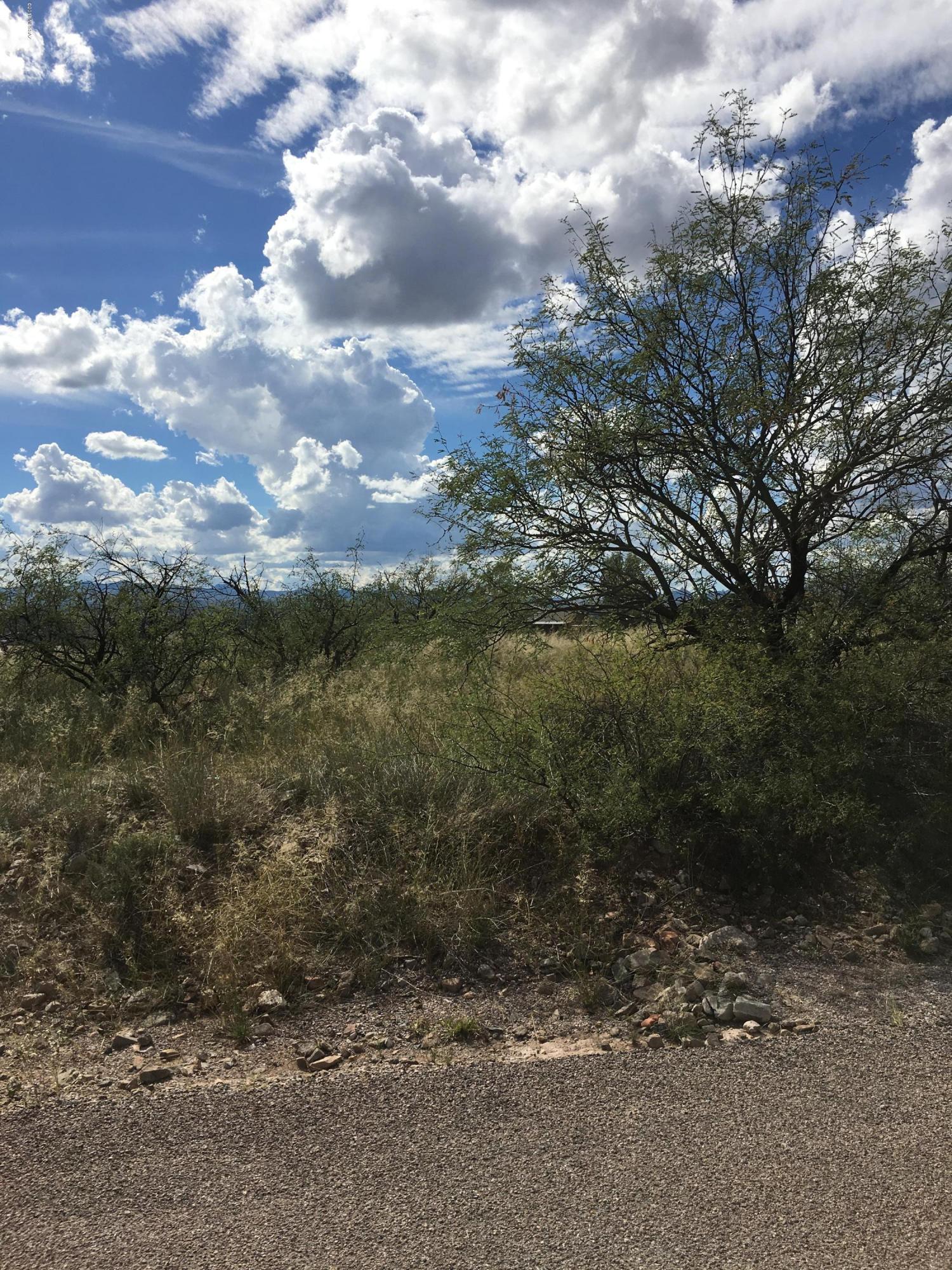 Rio Rico Ranchettes 12 - Land