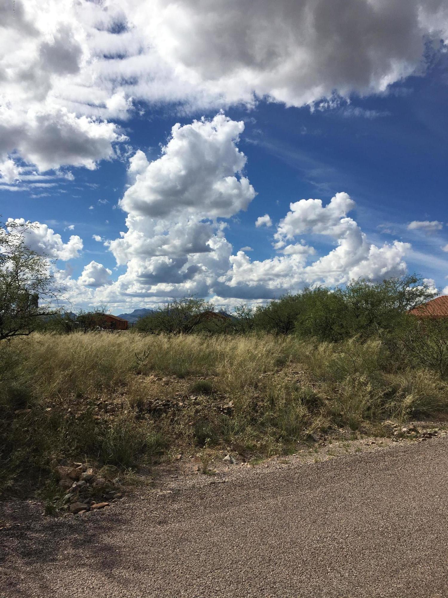 Rio Rico Ranchettes 12 - Land