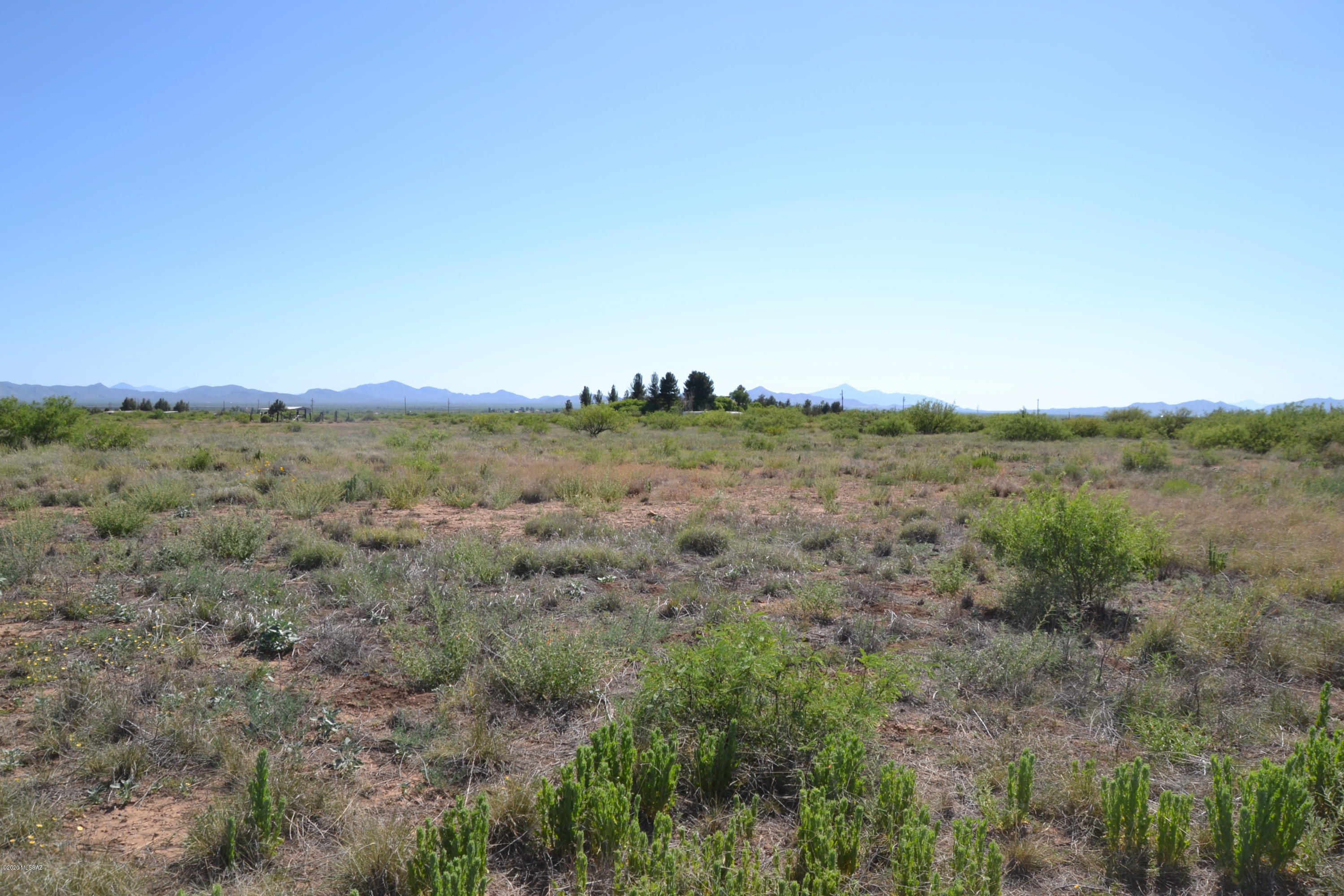 Out Of Pima County - Land