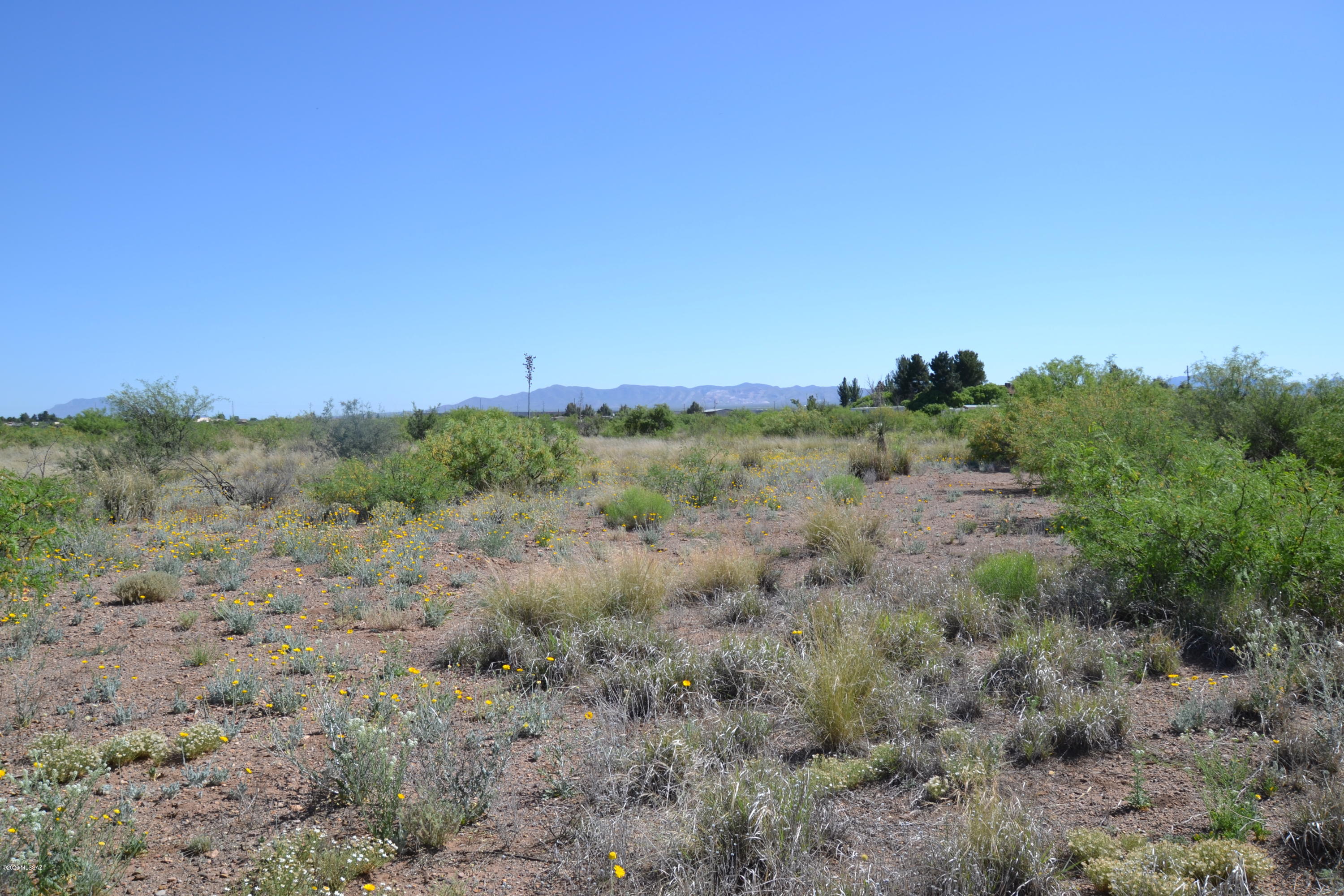 Out Of Pima County - Land